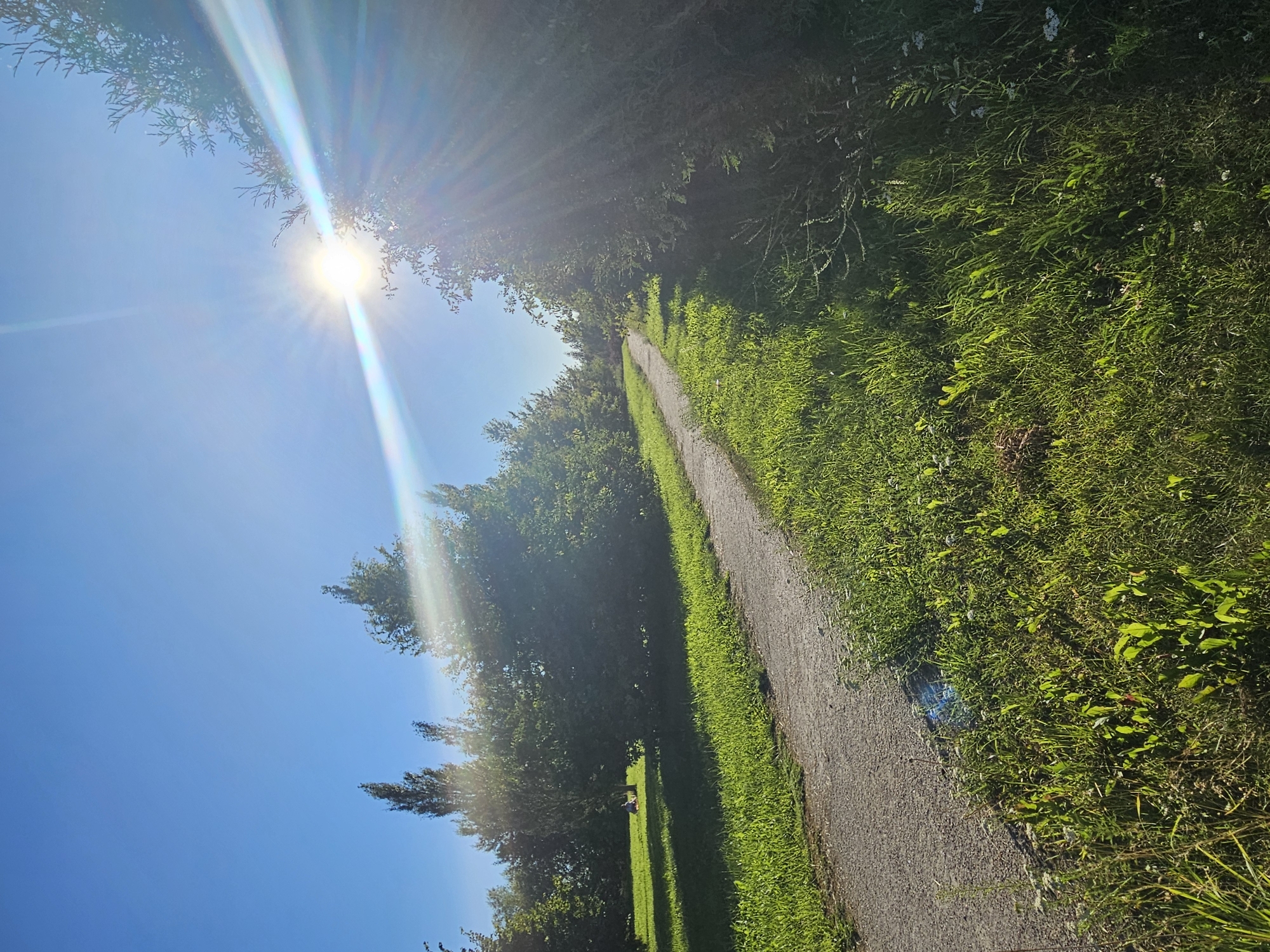 The image shows a sun-drenched scene in a park. A gravel path curves through lush green grass. Tall trees line the path on both sides, casting shadows. In the distance, on the left side of the path, a person is sitting on the grass in the shade of a tree. The sun is bright and high in the sky, with rays of light emanating from it, creating lens flares. The overall impression is one of a peaceful, sunny day outdoors.