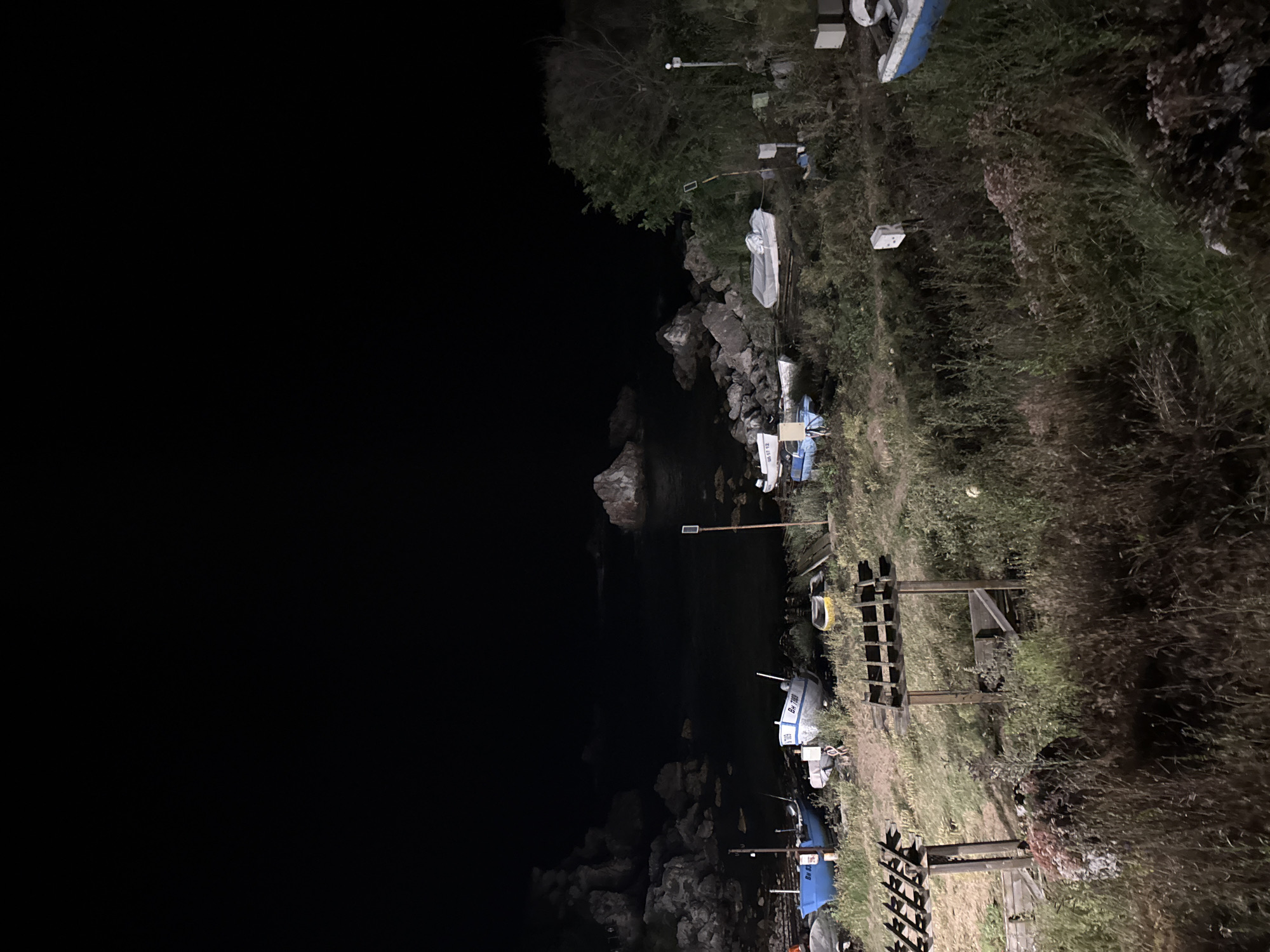 The image depicts a nighttime scene at the coast of Tyulenovo, Bulgaria. Several small boats are pulled up onto a grassy, rocky shore. The water is dark and calm, with rock formations visible in the distance. The sky is black, indicating nighttime. Vegetation, including tall grasses and some bushes, is present on the shore. There are some wooden structures, possibly for shade or storage, and a pole with what appears to be electrical equipment. One boat is partially covered with a tarp. The overall impression is one of a quiet, perhaps abandoned, coastal area at night.