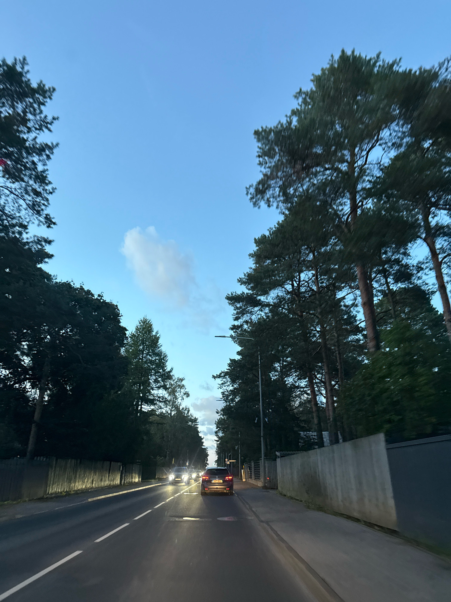 The image shows a street scene in Tallinn, Estonia, during twilight. Tall pine trees line both sides of the road, with dense foliage casting shadows. The sky is a pale blue with a few wispy clouds. Several cars are on the road, their headlights illuminated. On the left side, a wooden fence runs along the property line, and on the right, a concrete wall separates the road from the adjacent property. The overall impression is one of a suburban or semi-rural area within the city, as dusk settles.