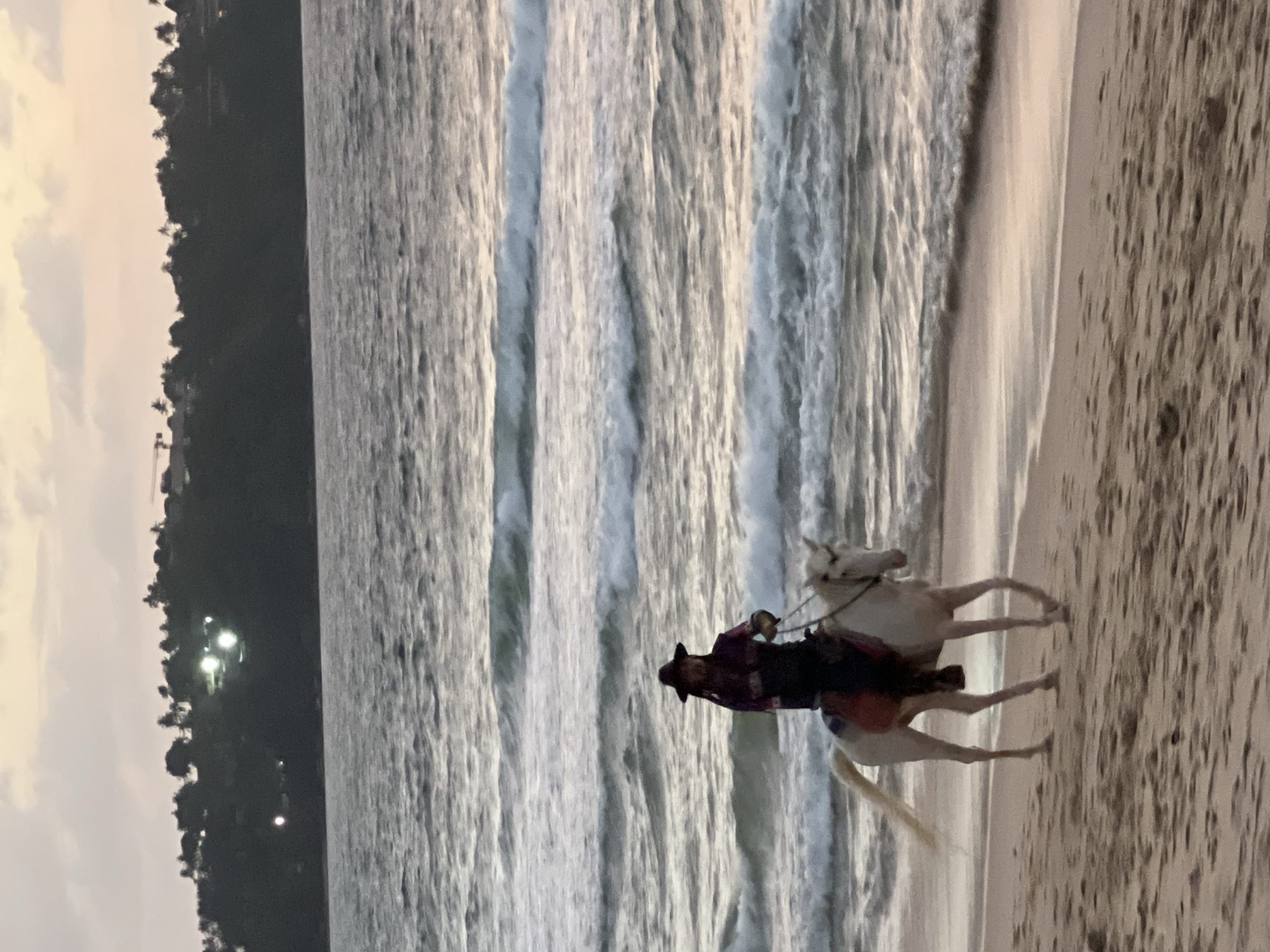 A person wearing a wide-brimmed hat and a patterned shirt rides a white horse along a sandy beach. The horse is facing left, with its head slightly lowered and its front legs in mid-stride. The rider is seated, holding the reins. The background consists of the ocean with gentle waves breaking on the shore, and a tree-lined hillside with some lights visible in the distance. The sky is overcast with muted pastel colors. This scene is likely located on a beach in the city of Choeng Thale, Thailand, possibly during twilight.