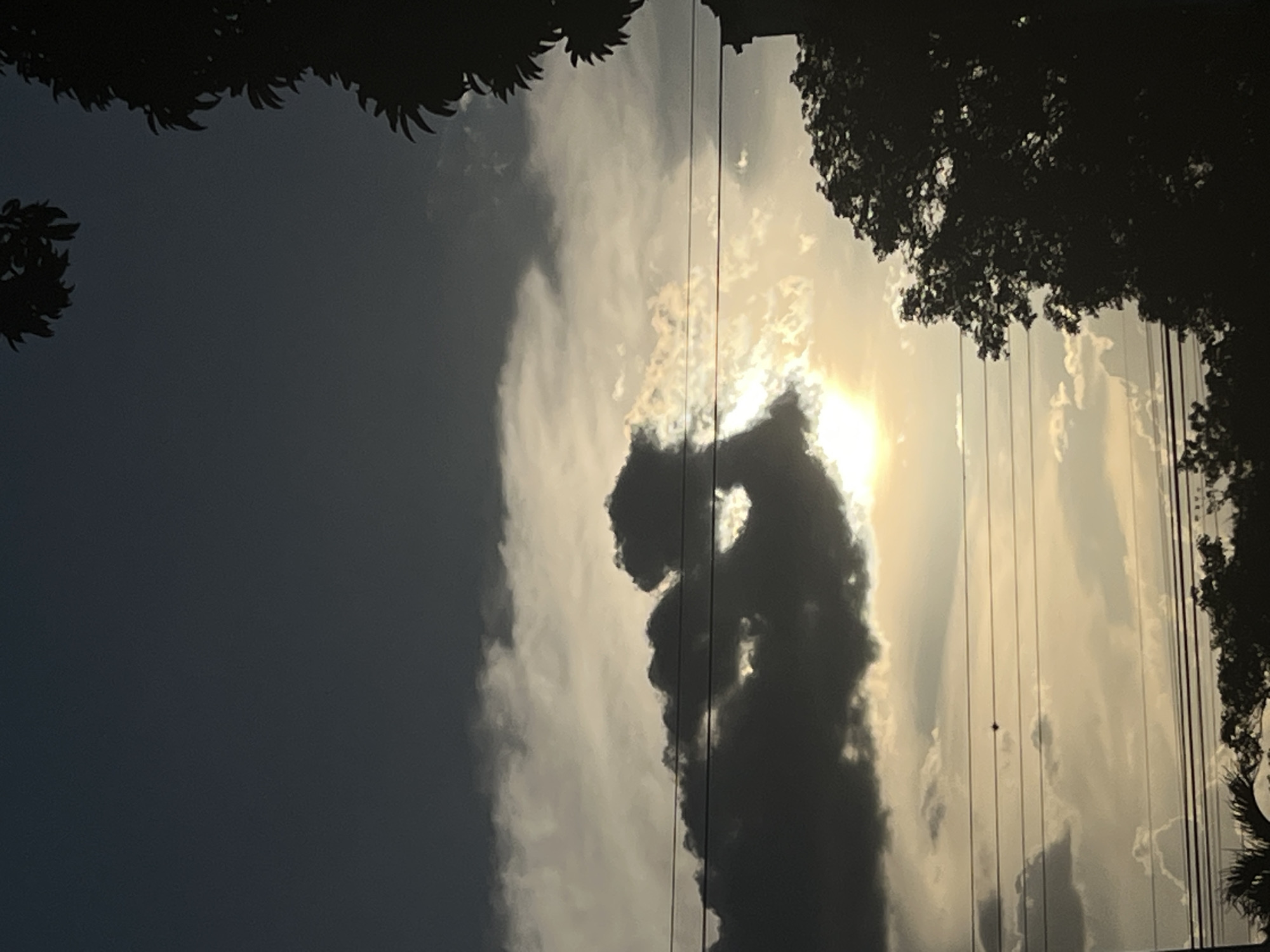 The image presents a dramatic sky scene, likely captured during sunrise or sunset, featuring intense backlighting from a partially obscured sun. Dominating the center-right is a large, dark cloud formation, creating a striking silhouette against the bright, radiant sky. This central cloud exhibits an irregular, towering shape with an intriguing, almost anthropomorphic or zoomorphic profile in its upper section, appearing like a figure or creature.
The sky transitions from a darker, deep blue-grey tone on the left side to vibrant yellows and whites where the sun's light penetrates the clouds on the right. Lighter, scattered clouds are also visible throughout the illuminated portions of the sky.
Silhouettes of dense tree foliage frame the scene along the top and bottom edges, suggesting the presence of trees or vegetation against the bright sky. Several thin, dark lines, resembling power lines or telephone wires, traverse the sky vertically, particularly on the right side of the image. A tiny, dark, indistinct object, possibly a bird, is perched on one of these lines.
The scene conveys a sense of natural grandeur and evokes contemplation. No activity involving people or identifiable objects beyond the natural elements and infrastructure lines is visible. There is no discernible text in the image. The location context is Tinaquillo, Venezuela.