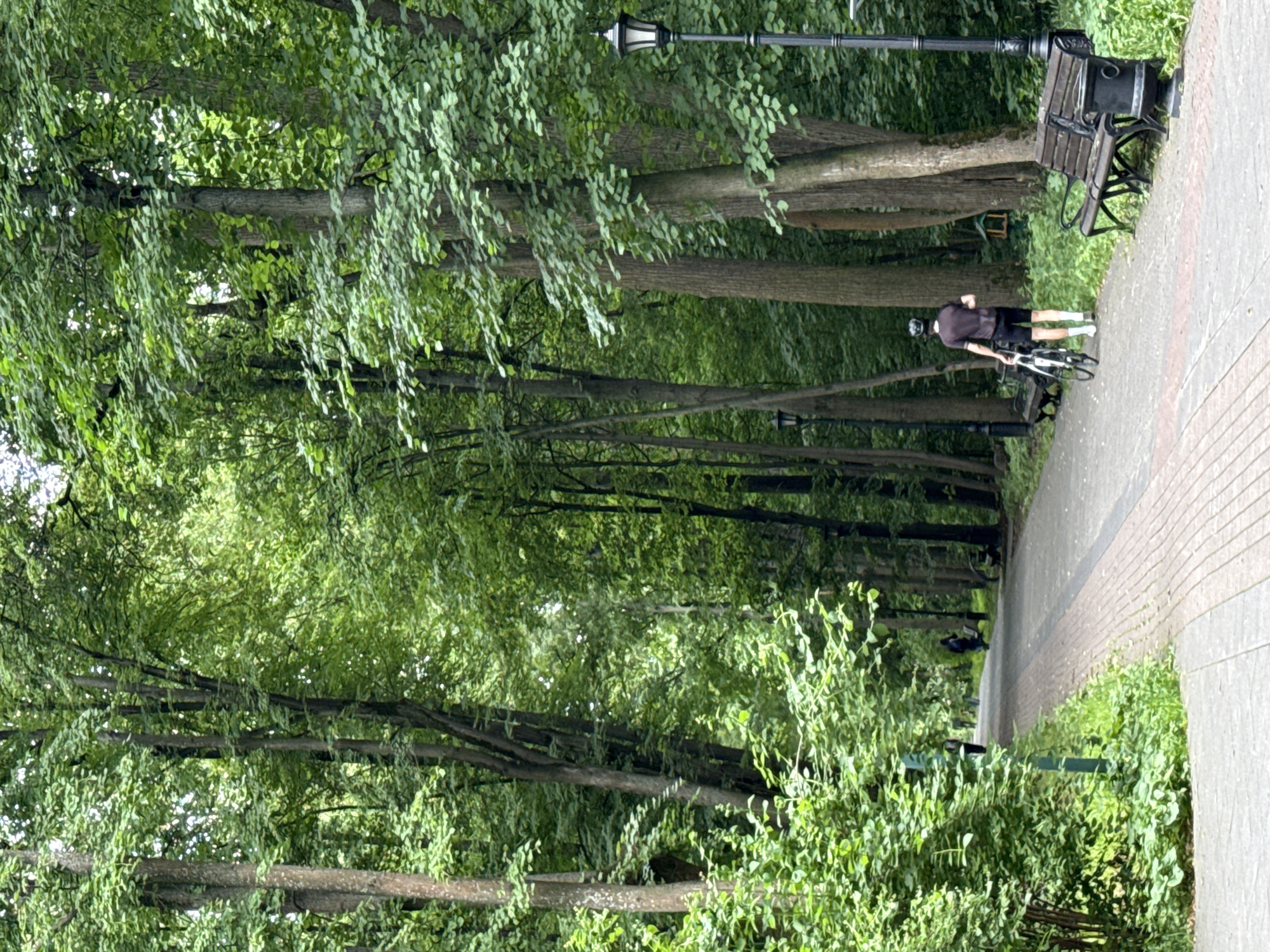 In Moscow, Russia, a man wearing a helmet, dark t-shirt, and shorts walks with a bicycle in a park. He is on a paved path lined with trees and greenery. Benches and lampposts are also visible along the path. In the background, other pedestrians are seen further down the path.