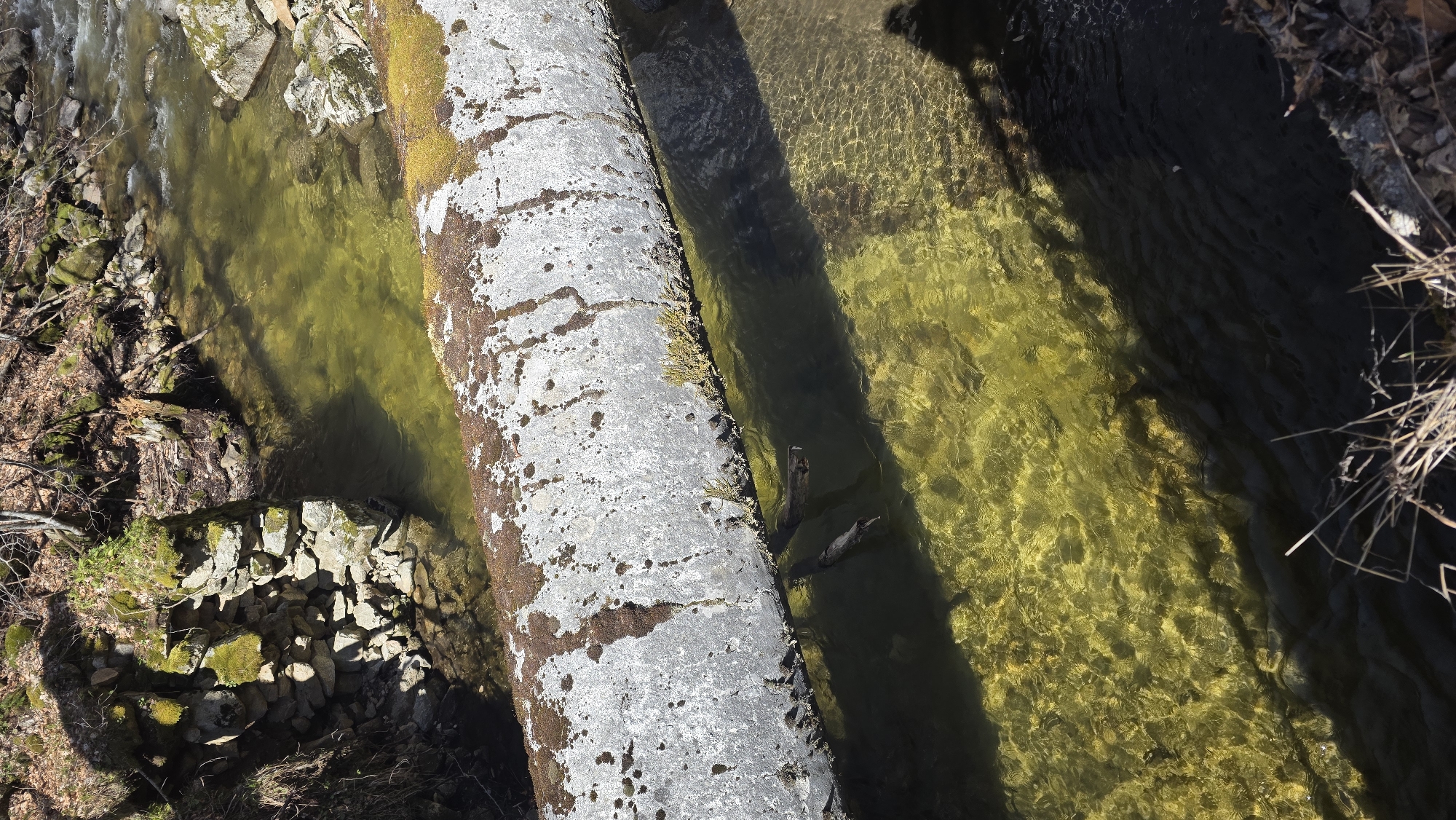 A high-angle shot depicts a small stream or river flowing over a dam-like structure constructed from gray, weathered concrete. The water is clear and yellowish-green. The top of the dam is mottled with dark brown and green organic material, possibly moss or algae. The left bank features rocks, some covered in moss, and sparse vegetation. The right bank is obscured by shadow. The presence of dry leaves suggests it is not summer, the exact location and inhabitants are unobservable.