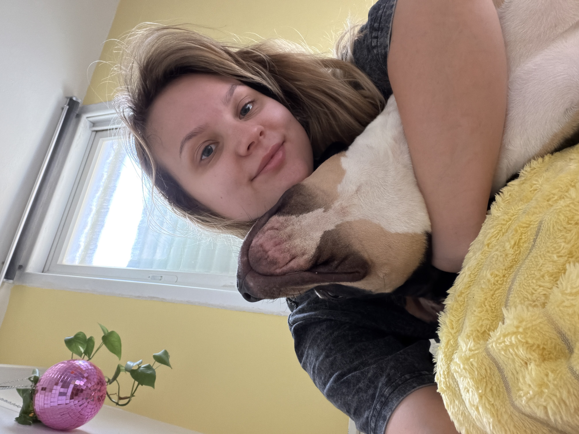 A selfie shot from a low angle features a fair-skinned woman with light brown hair holding a tan and white American Bully dog close. The woman is smiling slightly at the camera. The dog is sleeping with its head resting against the woman's shoulder. A yellow blanket is visible to the right. In the background, a window with white trim and a small pink disco ball beside a small plant on a white surface can be seen. The walls are painted a light yellow. The location is likely indoors. The city of Tel-Aviv, Israel, cannot be confirmed from the visual data provided.