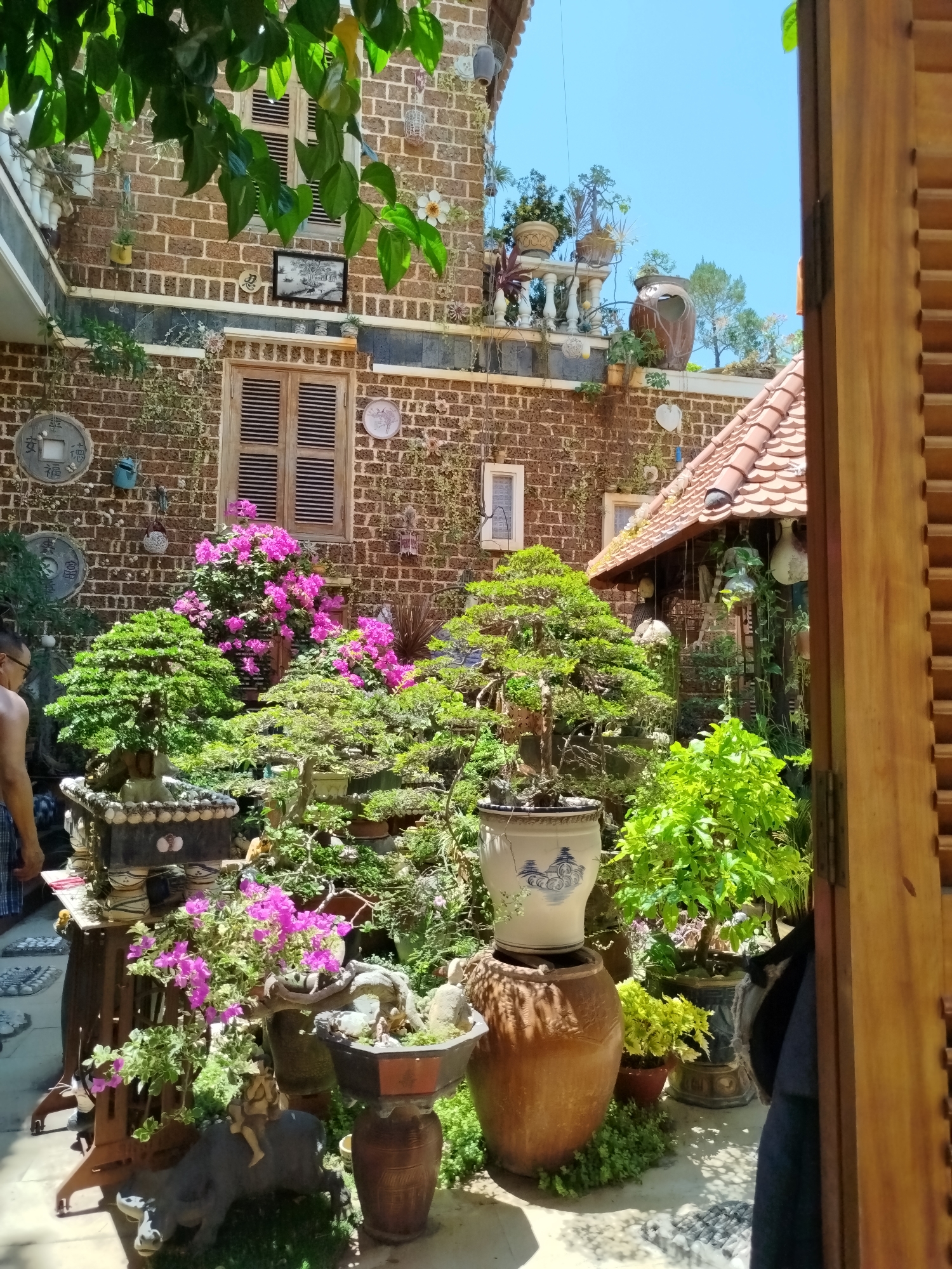 Here is a detailed description of the image:
**Setting:** The image is captured in what appears to be a lush courtyard or garden, possibly within a residential area. It features a building with brick walls adorned with decorative elements like plates, windows, and plants. The architecture suggests a Southeast Asian influence.
**Vegetation:** The foreground is filled with a variety of bonsai trees, flowering plants (including bougainvillea), and other greenery. These plants are in pots of various sizes and materials.
**Objects:** Numerous decorative objects are visible, including ceramic pots, sculptures (like a buffalo with a rider), and architectural details hanging from the eaves of a tiled roof.
**People:** A partial view of a person is visible on the left side of the image.
**Composition:** The photo is taken from inside a structure looking out, with the edge of a wooden door visible on the right side, creating a framed view of the garden. The lighting is bright, suggesting a sunny day.
**Likely Location:** Given the architecture and lush vegetation, the location is likely in a garden within the urban environment of Ho Chi Minh City, Vietnam.