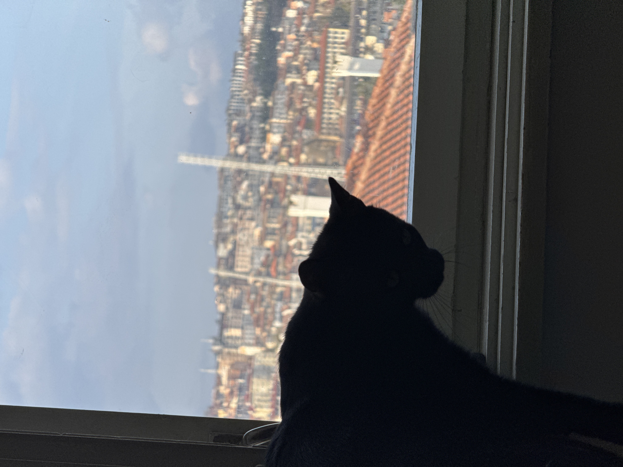 A dark silhouette of a cat facing away from the camera, sitting on a window sill. The cat appears to be looking out the window. The background shows a city landscape, visible through the window. The buildings appear dense and the sky is visible with hints of clouds. The building could be the TV Tower of Veliko Tarnovo.