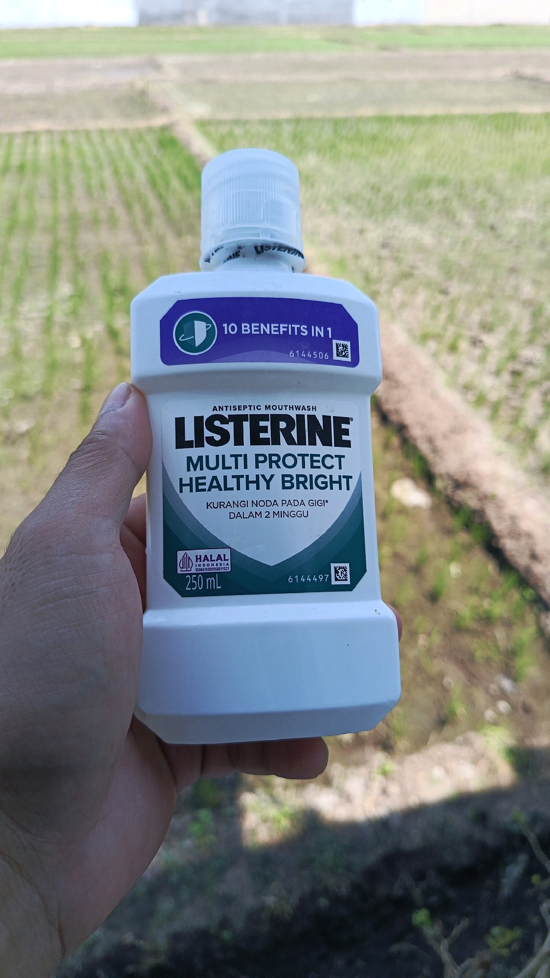 A person's hand holds a white plastic bottle of Listerine Multi Protect Healthy Bright antiseptic mouthwash. The bottle has a white cap and a label with purple and green accents. Text on the label indicates "10 BENEFITS IN 1," "ANTISEPTIC MOUTHWAH," and "KURANGI NODA PADA GIGI DALAM 2 MINGGU" (which translates to "Reduce stains on teeth in 2 weeks"). A halal certification logo for Indonesia is also visible. The background shows a blurred landscape of green fields, possibly rice paddies, under a bright sky. The scene is outdoors.