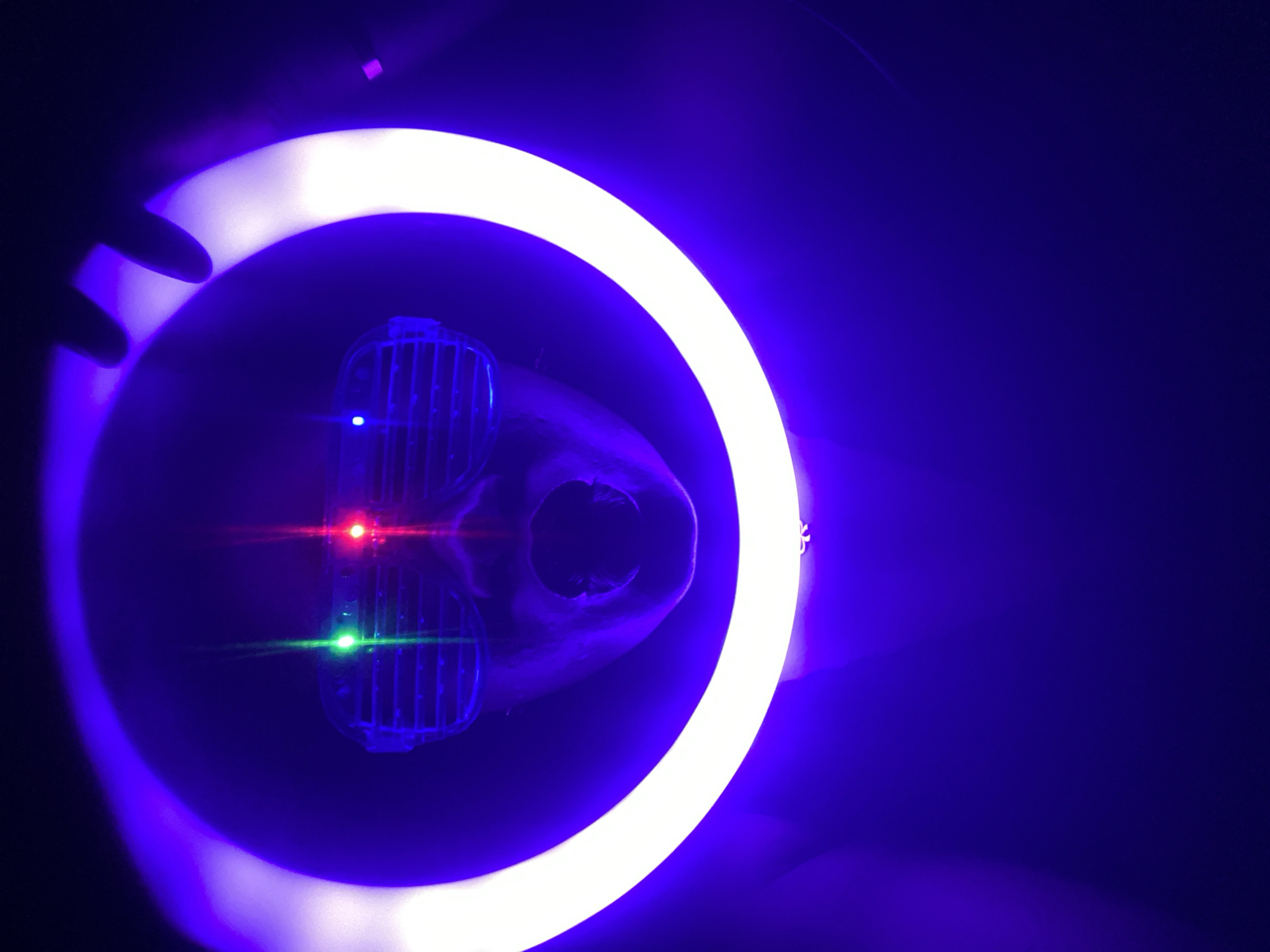 A head with grill-like structures over the eyes and a red light shining on them is inside a brightly lit circular ring. There's another green light beneath the red one and a blue light above. A dark silhouette of fingers is visible at the top left of the ring. The background is dark. The image has strong purple and blue hues.
The location is unknown, not in Maigizo, Nigeria.