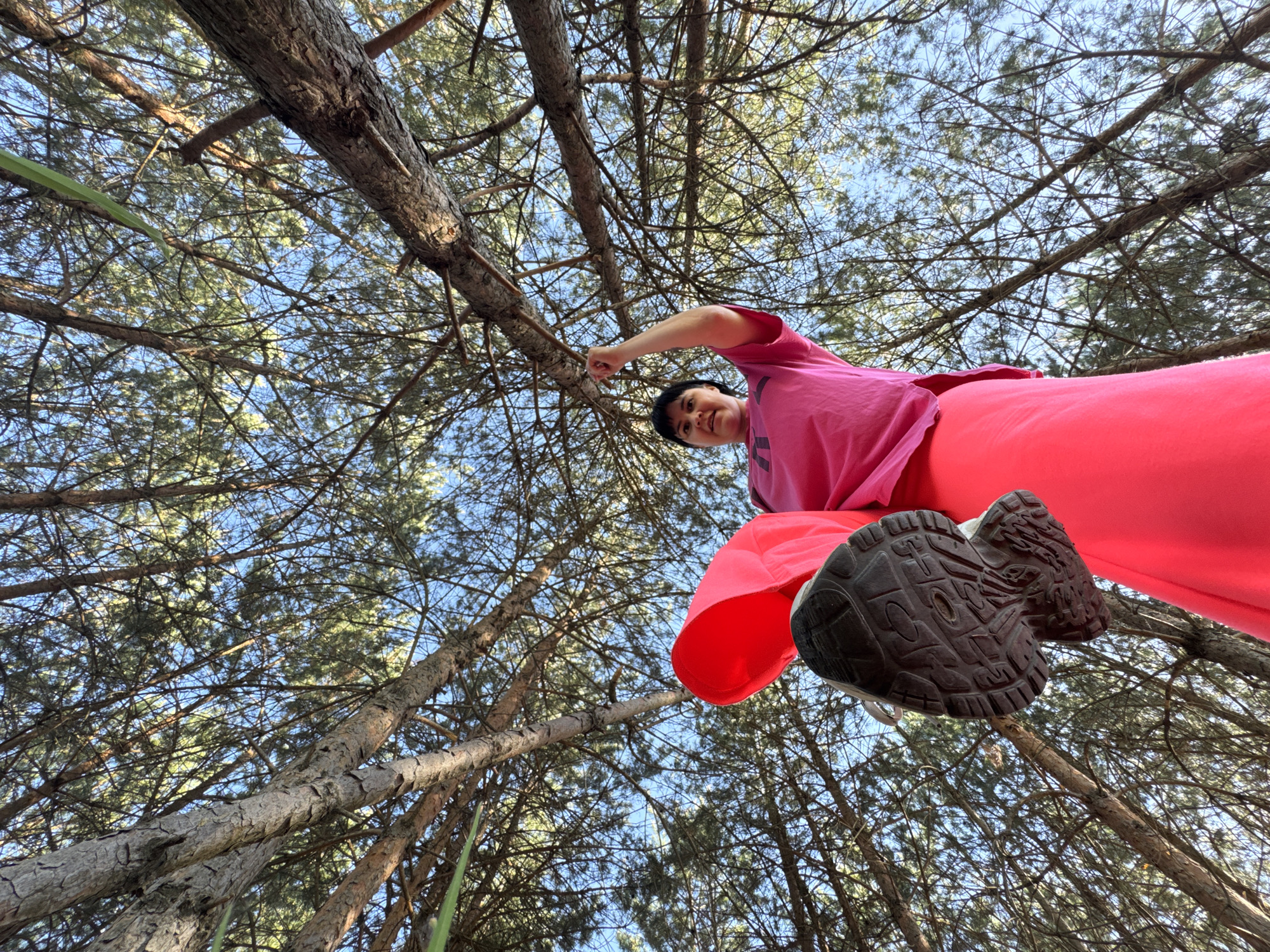 From a low-angle perspective, a person in a pink shirt and pants is seen reaching towards a tree branch. The person's shoe is prominently displayed in the foreground. The background is filled with numerous tree branches against a blue sky. The location is likely a wooded area, potentially in or near Zav'yalovo, Russia.