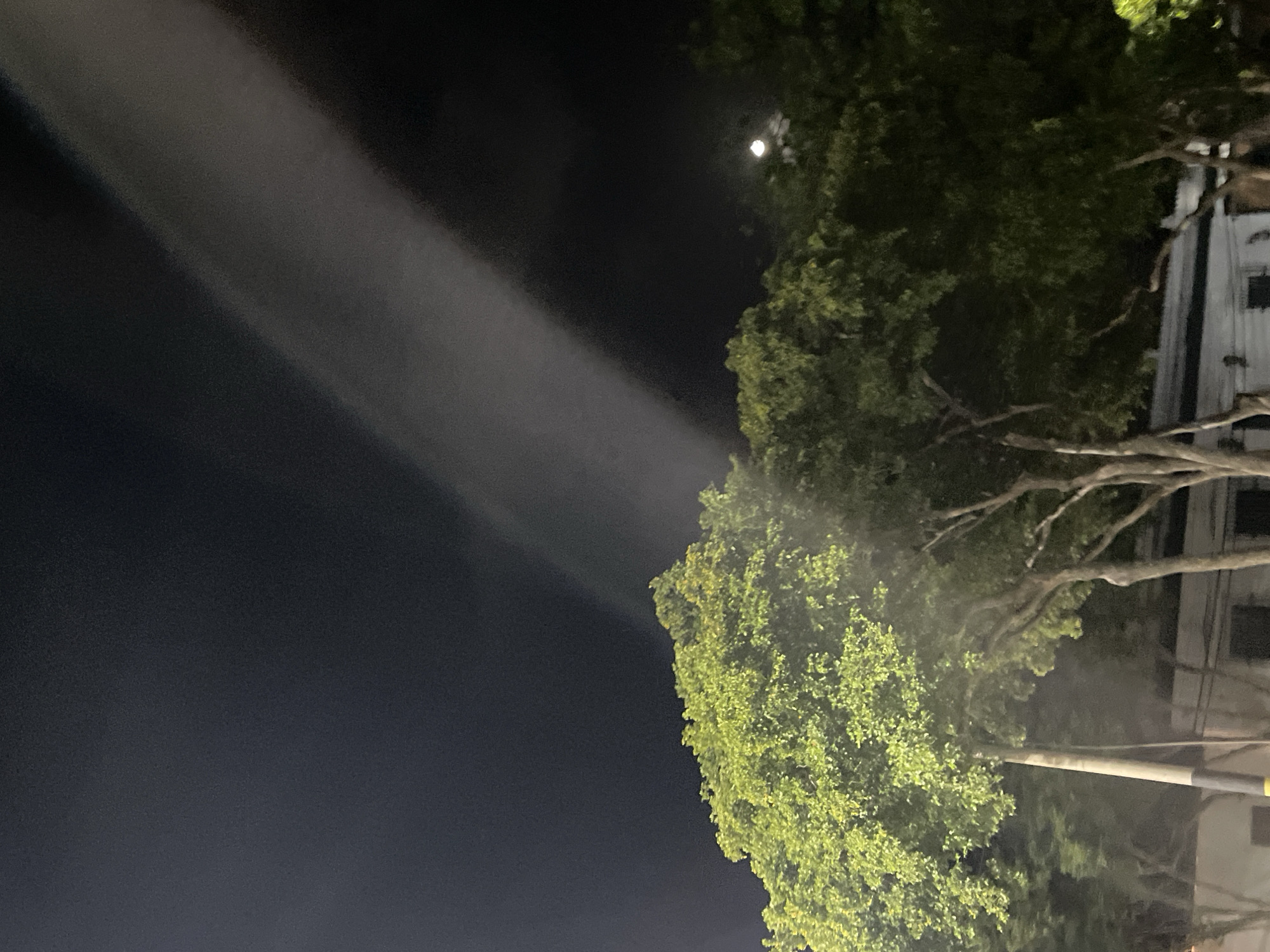 The image shows a nighttime view of trees and a building in Santa Ana, Venezuela. A light beam or fog stretches diagonally across the dark sky. The trees in the foreground are illuminated by artificial light, displaying lush green foliage. The moon is visible in the upper right portion of the sky, peeking through the trees. A light pole with black and yellow bands stands to the left of the trees. The background shows a dark, indistinct building with windows. The overall impression is of a somewhat hazy, urban night scene.