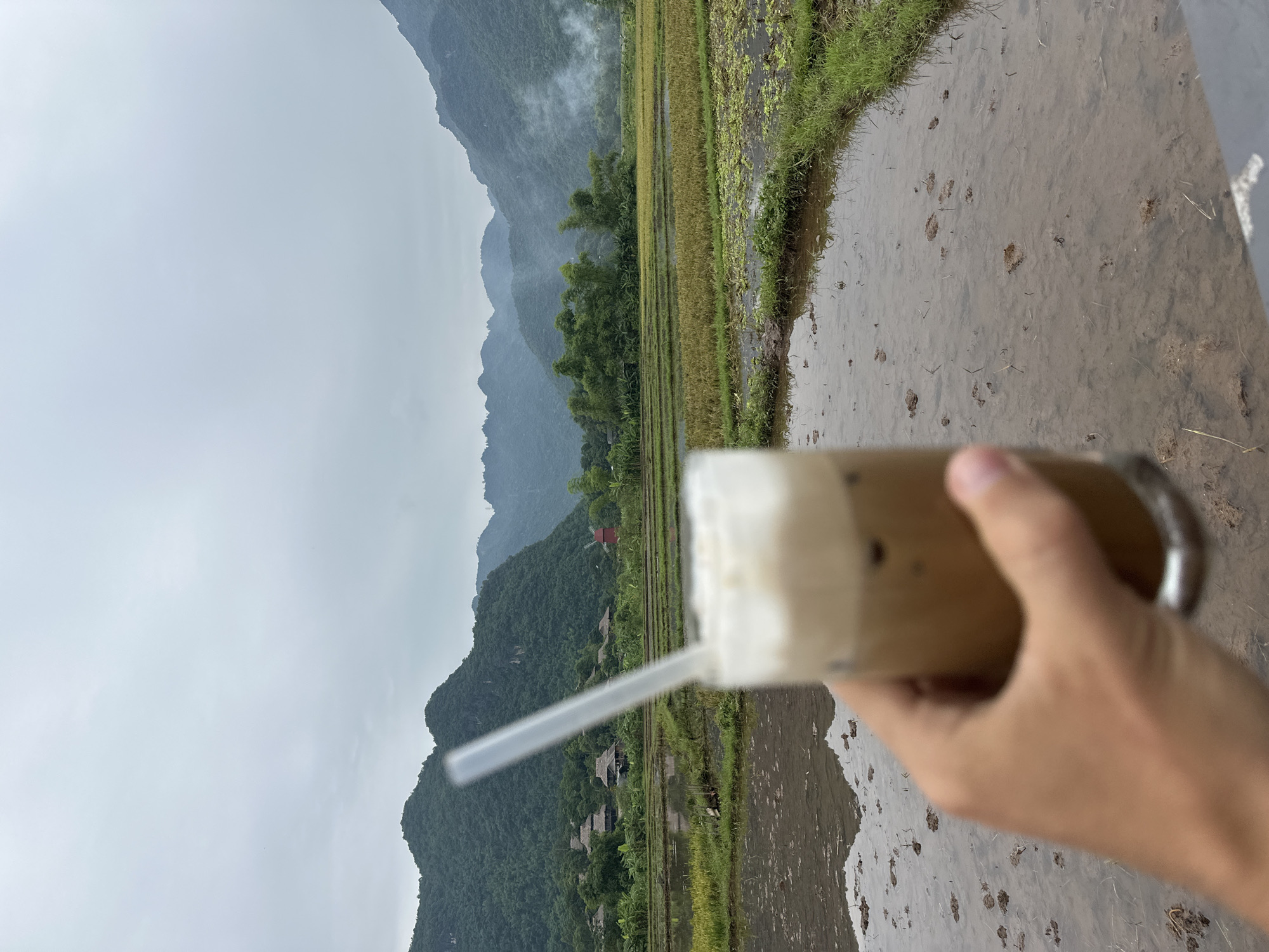 A person's hand holds a glass of iced coffee with a straw in the foreground, obscuring the view of a rice paddy field in Mai Chau, Vietnam. The field is partially flooded with muddy water, with patches of green and golden rice stalks. In the middle ground, traditional Vietnamese stilt houses with thatched roofs are nestled amongst lush greenery. A red windmill stands out against the backdrop of rolling, mist-covered mountains that dominate the horizon. The sky is overcast, contributing to a muted, diffused light. Smoke or mist rises from the distant mountains. The scene conveys a sense of rural tranquility and a connection with nature.