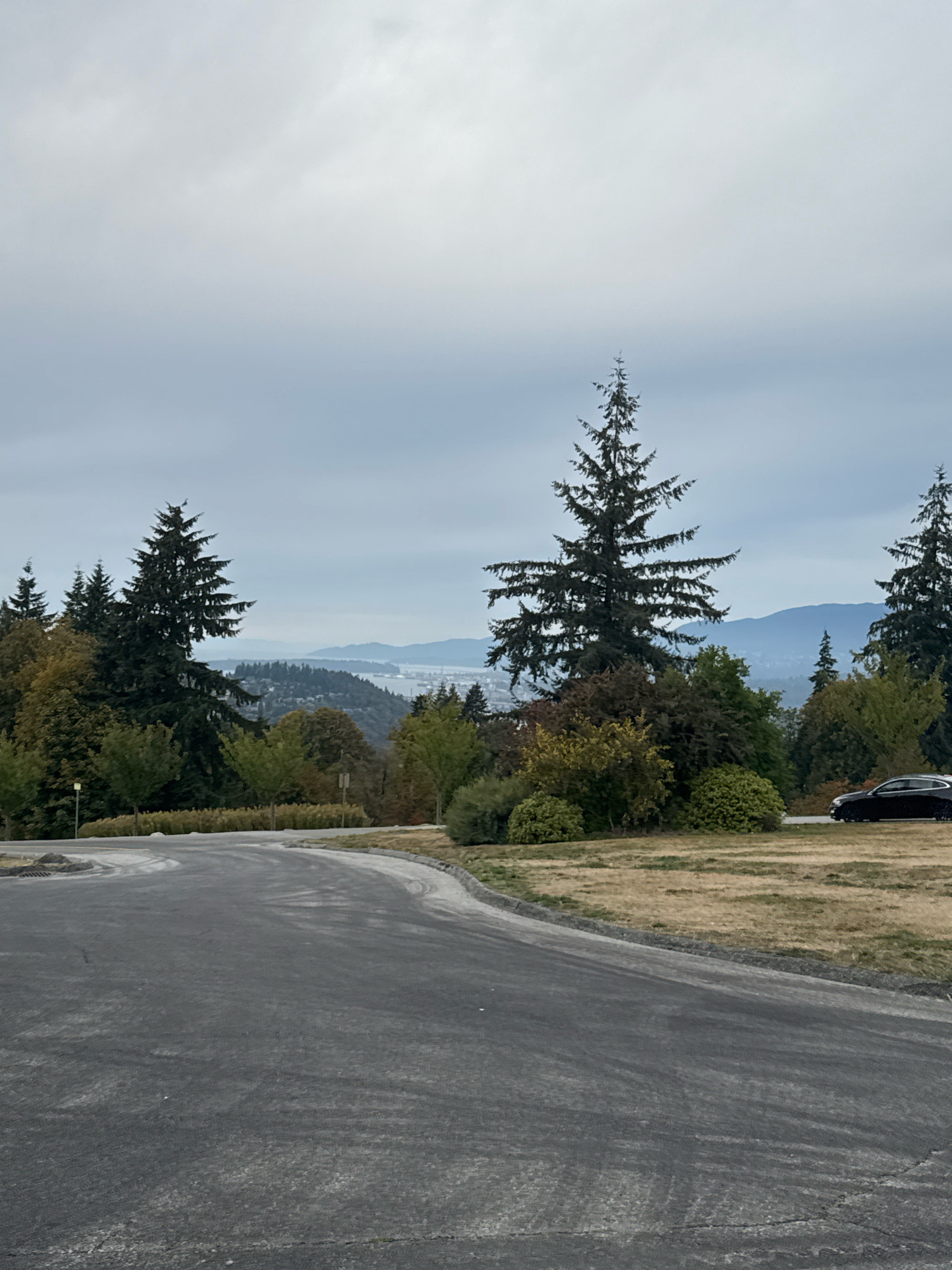 This is a slightly overcast, full-frame shot from a slightly elevated position overlooking a park area with a distant city view. In the foreground, a paved road curves to the left, its surface appearing somewhat worn. To the right of the road is a grassy area with patches of dry, golden-brown grass, leading to a line of trees and shrubs. In the mid-ground, a row of evergreen and deciduous trees form a dense line, with some showing autumnal colors. A black sedan is parked on the right side of the road in the mid-ground. Beyond the trees, a panoramic view of a city and body of water is visible, with hills and mountains forming the backdrop. The sky is a uniform grey, indicating cloudy conditions. The image appears to be taken in Burnaby, Canada.