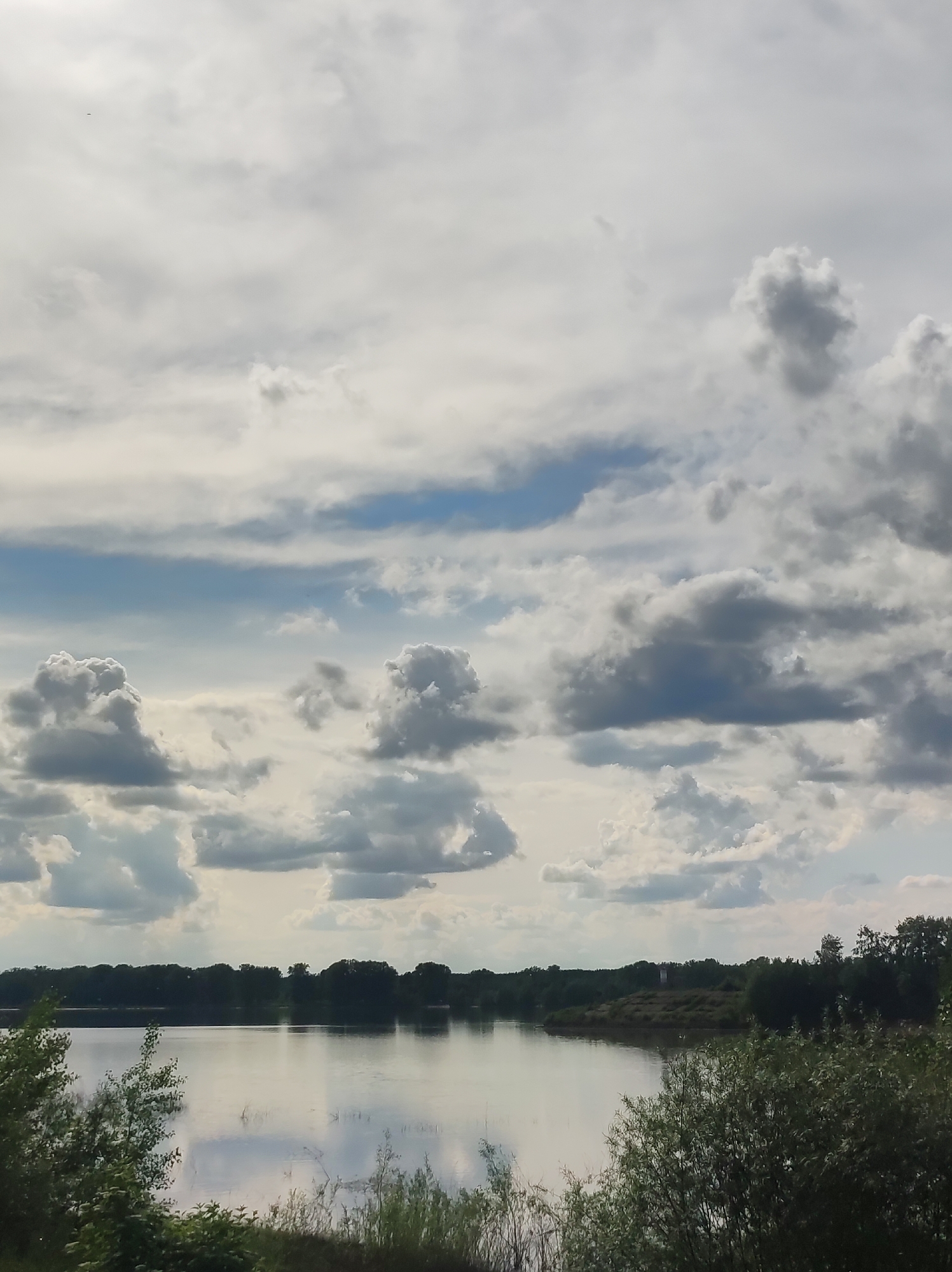 The image depicts a daytime scene of a body of water, likely a lake or river, under a cloudy sky. The water's surface reflects the sky, creating a mirroring effect. The shoreline is densely vegetated with trees and shrubs. The location is identified as Chaikovsky, Russia based on an earlier user specification. There are no people visible in the image. The scene conveys a sense of tranquility and natural beauty.