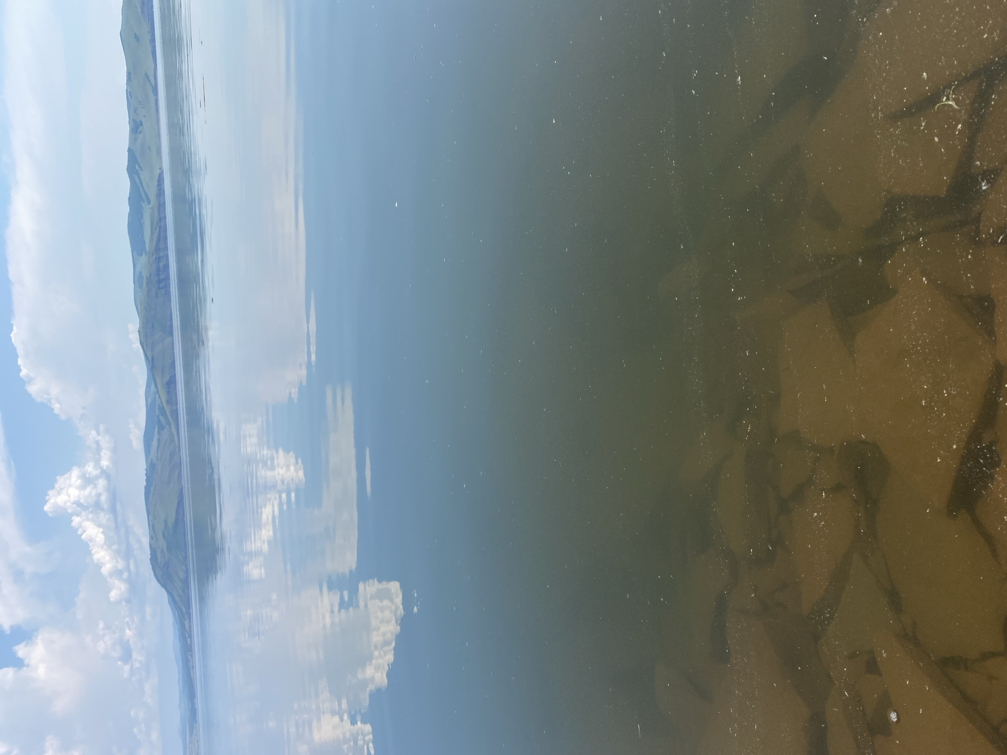 The image depicts a wide, still body of water with a clear reflection of the sky and distant, undulating hills. The water in the foreground is shallow and murky, revealing large, flat rocks or submerged structures on the bottom. The sky is a bright blue with fluffy white clouds that are mirrored on the surface of the water. The overall impression is one of tranquility and natural beauty. The scene is likely a lake or a very wide river in the vicinity of Ust'-Erba, Russia, given the context. There are no people or active subjects present in the image.