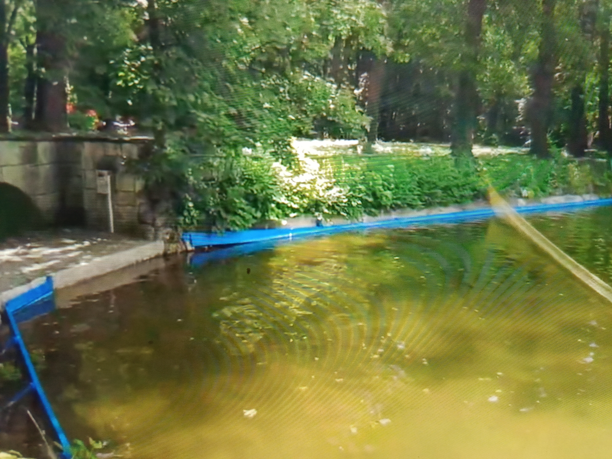 The image depicts an outdoor scene with a body of water, possibly a pond or a section of a park's water feature, in Varna, Bulgaria. The water is murky and greenish-yellow, with some debris floating on its surface. Along the edge of the water, there is a blue liner or barrier. In the background, lush green trees and vegetation are visible, suggesting a park or garden setting. A stone structure, possibly part of a wall or an embankment, can be seen to the left. The sunlight creates dappled reflections on the water's surface, indicating it is daytime. The overall impression is of a tranquil, natural environment within an urban setting.