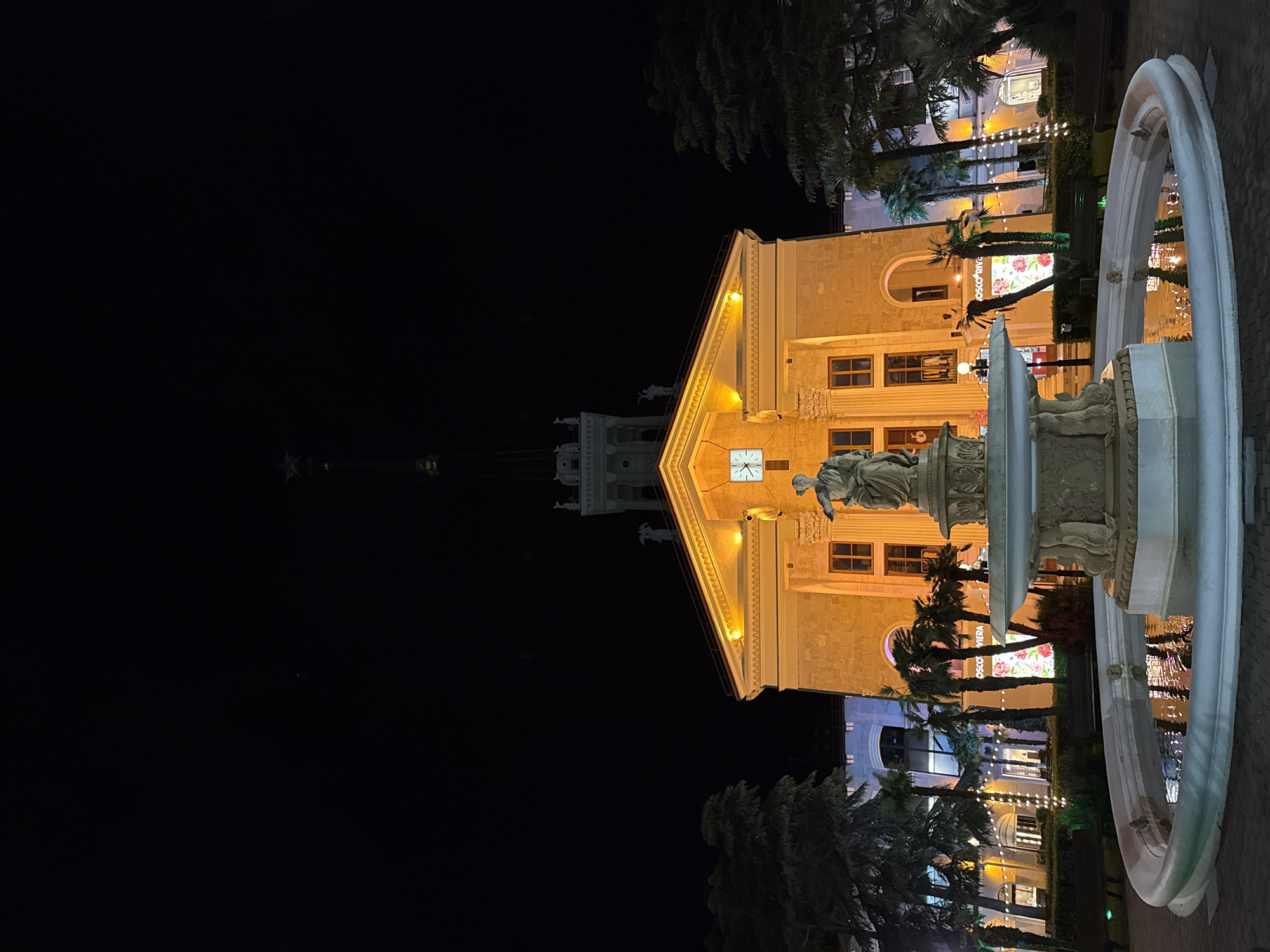 A night scene depicts a grand, illuminated building with a clock tower in Sochi, Russia. In the foreground, a circular fountain with a statue at its center reflects the ambient lights of the city. The building is ornate, with classical architectural elements and is bathed in warm, yellow light, highlighting its facade. Palm trees and evergreen trees flank the building, adding a touch of nature to the urban landscape. The sky is a dark, inky black, characteristic of nighttime. String lights are visible, draped along the facades of other buildings in the background, suggesting a festive or lively atmosphere. Benches are placed around the fountain, indicating a public space designed for relaxation and enjoyment. The overall impression is one of a beautiful and well-maintained public square at night.