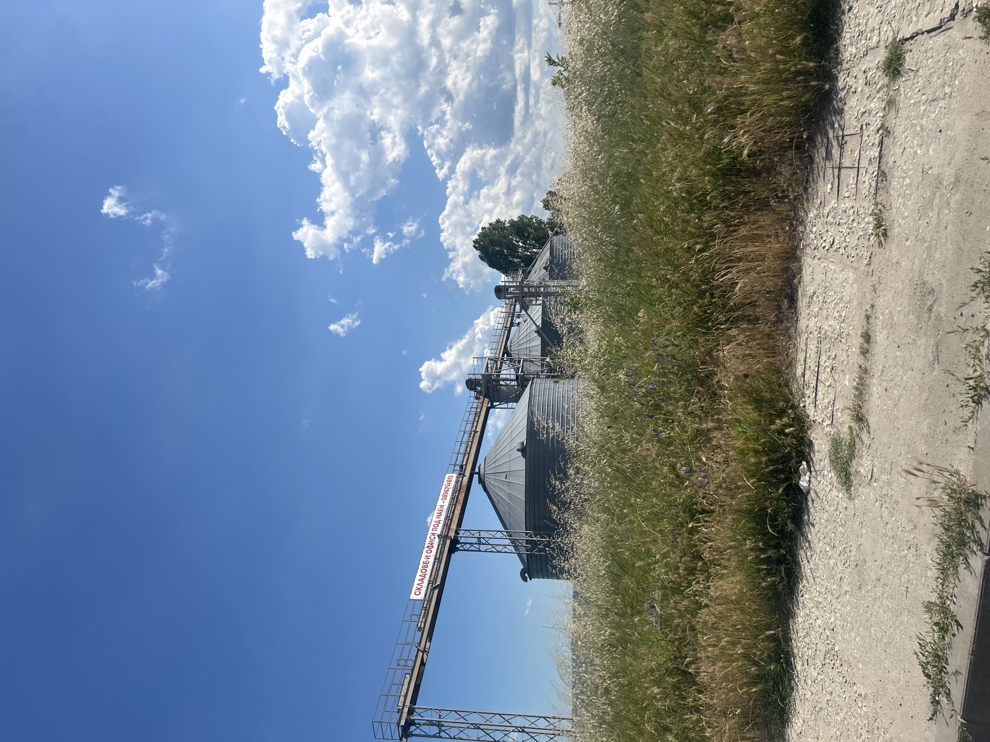 An exterior, eye-level, full shot captures a bright, sunny day with a vibrant blue sky and scattered white clouds over a rural industrial area. In the midground, large, conical metal silos are visible, surrounded by tall, dry grass and scattered purple wildflowers. A conveyor belt system, supported by metal scaffolding, extends from the left of the frame towards the silos. A red and white banner is attached to the conveyor belt structure, displaying text in what appears to be Cyrillic script, including the phone number 0896754815. The foreground consists of a rough, concrete surface with some patchy grass growing through cracks. The scene is located in the city of Varna, Bulgaria.