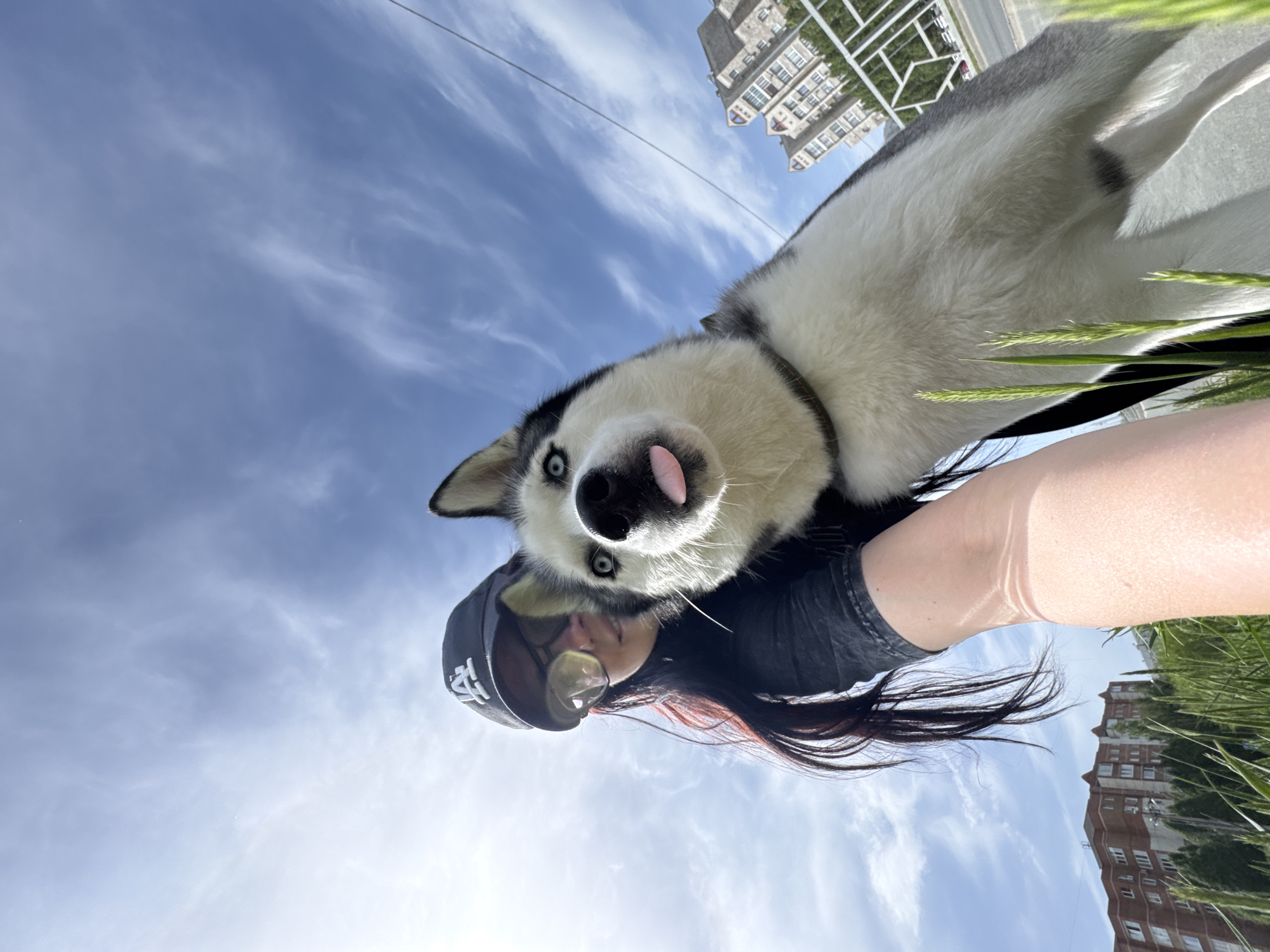 A low-angle, medium-shot photograph shows a person holding a Siberian Husky dog. The person, presumably female, wears a black baseball cap with white lettering, sunglasses, and a black shirt. The person has long, black hair with red highlights. The Siberian Husky is on top of the person, looking down at the camera, with its tongue slightly sticking out. The dog has black and white fur and blue eyes.
The background consists of a bright, blue sky with wispy clouds. The buildings of the city are visible behind the person and dog, including a building with a white decorative fence. The location is Unknown, Unknown.
