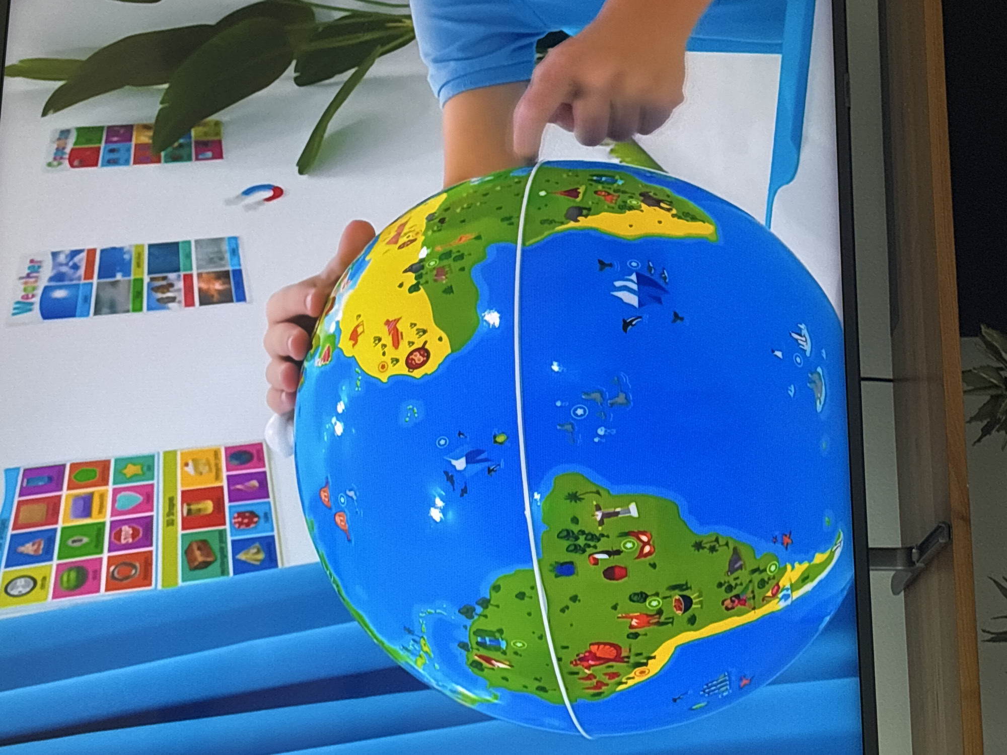 A large, bright blue globe with green landmasses and yellow accents is held by two hands. The globe is decorated with various cartoonish icons representing animals, plants, and objects. A white elastic band circles the globe, dividing it horizontally. In the background, on a white wall, are two educational posters; one labeled "Weather" and another labeled "Opposites." To the left, a blue curtain hangs. To the right, a large green plant is visible. The scene appears to be set indoors, possibly in a classroom or child's play area. There is no indication of the city of Dubai or the United Arab Emirates in this image.