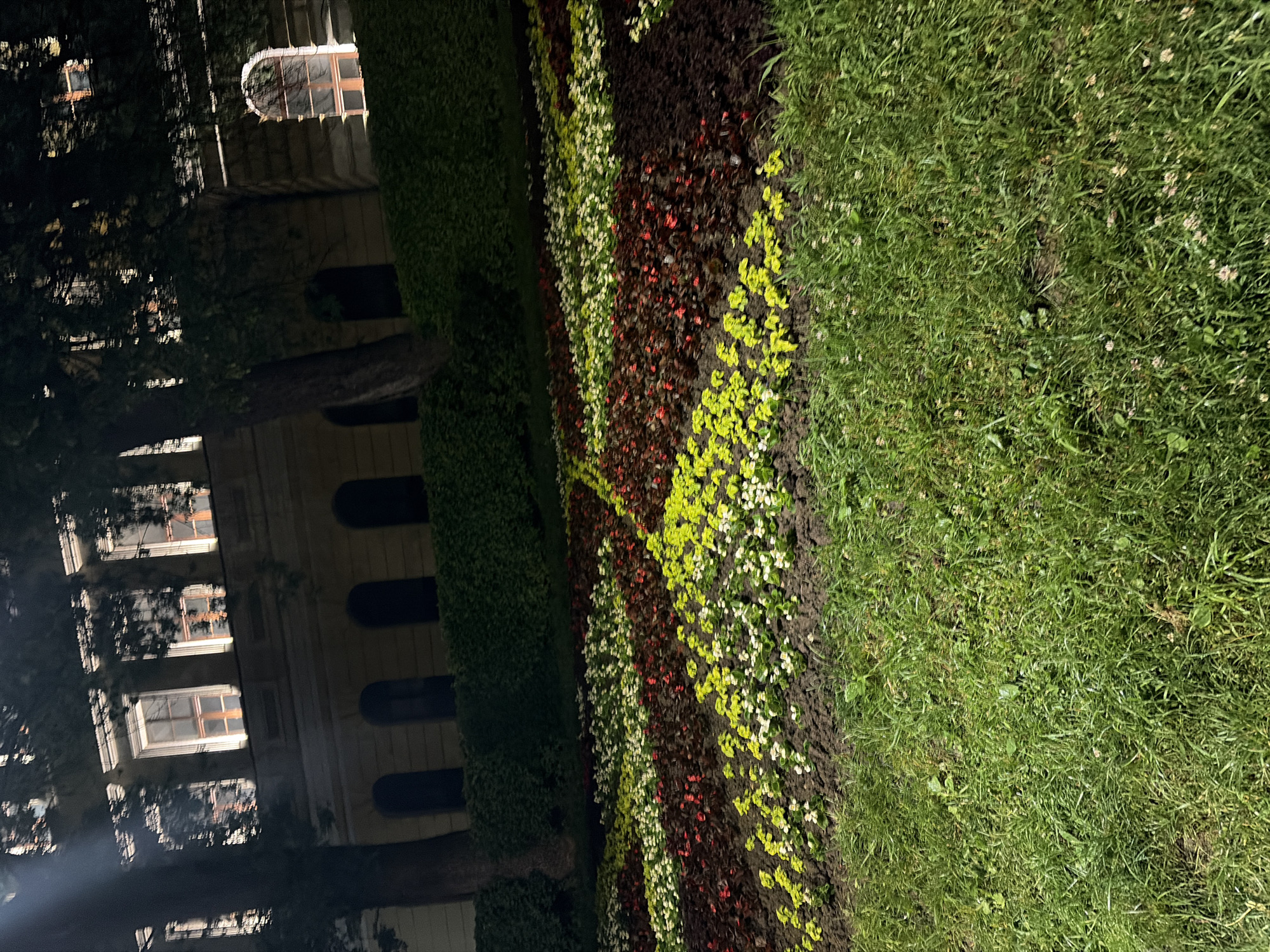 The image shows a nighttime view in Veliko Tarnovo, Bulgaria. In the foreground, there is a flowerbed with rows of different colored flowers: red, white, and yellow. The flowerbed is bordered by a green lawn on one side and a trimmed hedge on the other. In the background, there is a building with lit windows, partially obscured by trees. The building has a classical architectural style with symmetrical window arrangements. The scene is illuminated by artificial light.