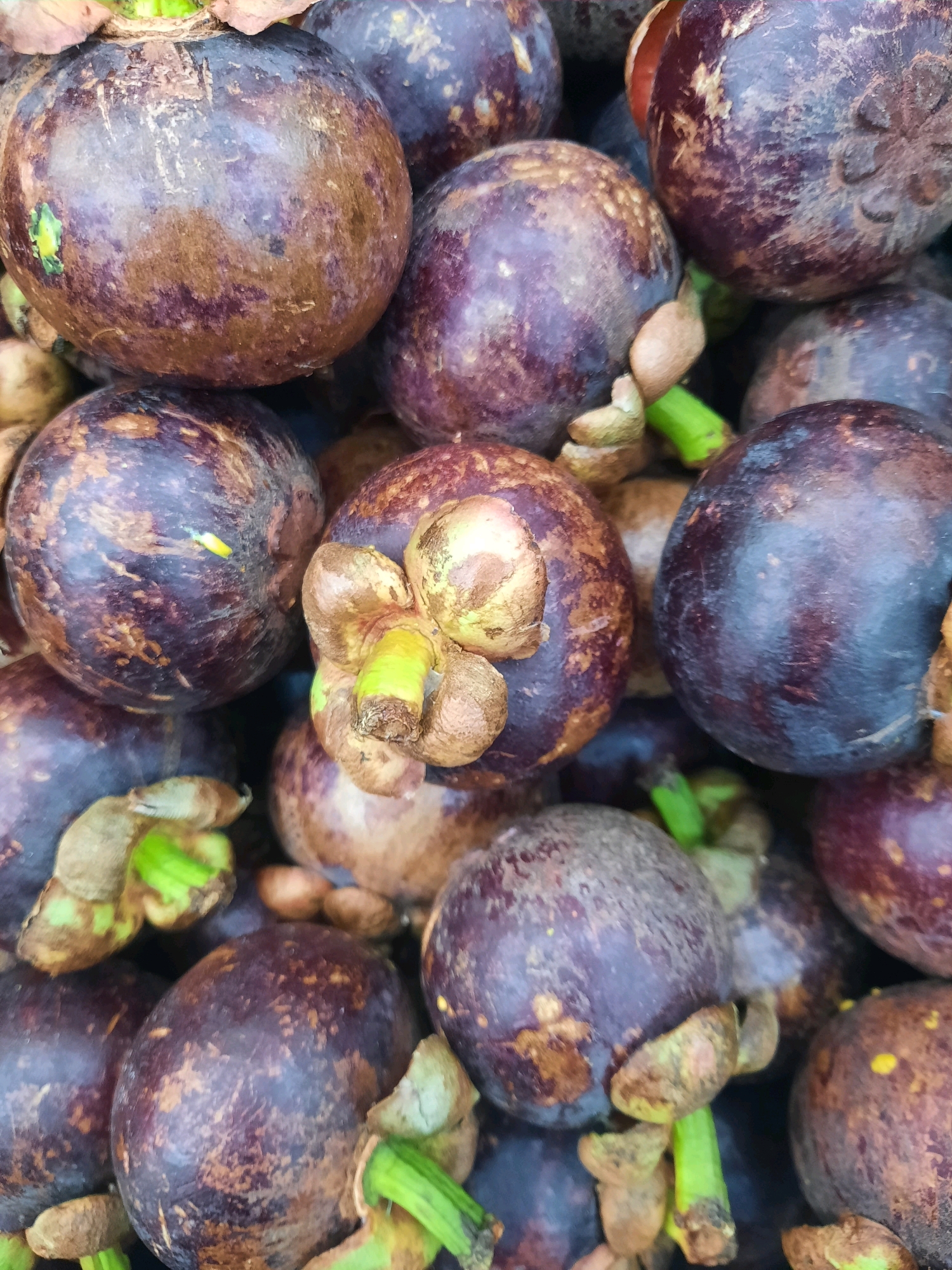 A close-up, overhead shot displays a pile of ripe mangosteens, their dark purple rinds speckled with brown and tan. The fruits, which appear to be fresh, are arranged in a tight cluster, with some showing their green stems. The background is a blur of more mangosteens, suggesting a market stall or fruit stand. The scene is likely located in Babakan Madang, Indonesia, a region known for its tropical fruits. The lighting is even, and there are no people or other objects visible in the frame.