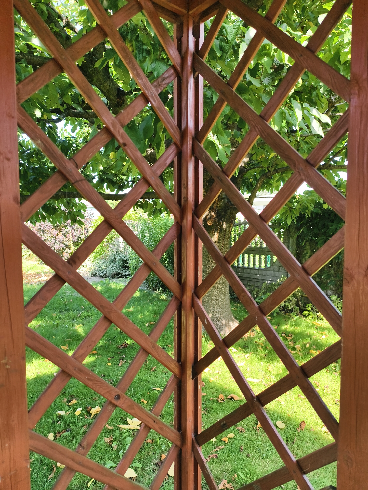 The image shows a close-up view of a wooden lattice fence, painted a reddish-brown color. The lattice forms a diamond pattern and is partially obscuring a garden scene. Through the gaps in the lattice, a lush green lawn is visible, dotted with fallen yellow leaves. In the background, there are trees with dense green foliage, and further back, a stone wall topped with a white balustrade is visible. The overall scene suggests an outdoor setting, likely a garden or park area. The image's metadata indicates it was taken in Tczew, Poland.