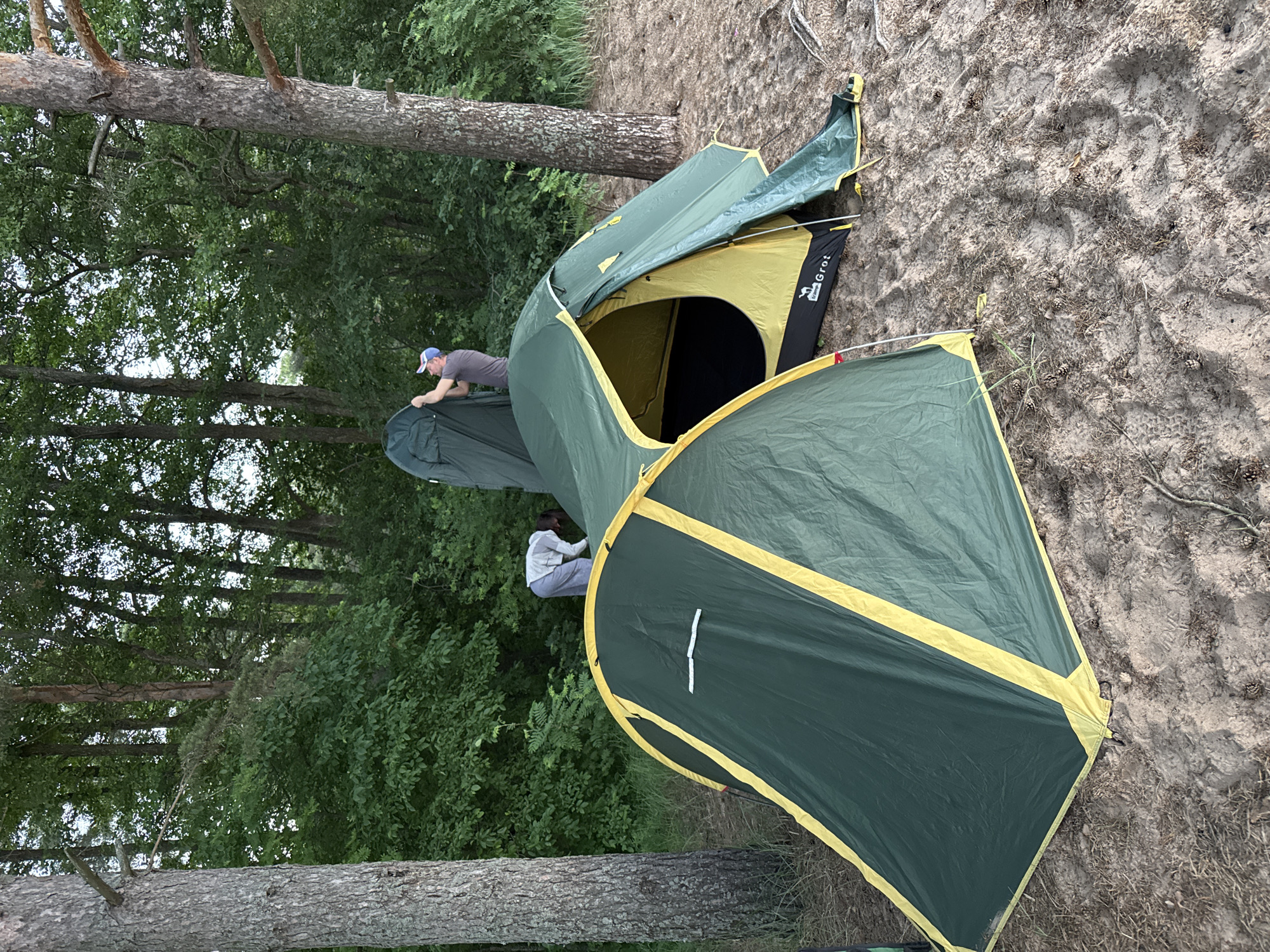 In Zelenaya Roshcha, Russia, two tents are set up on a sandy surface near a wooded area. A person wearing a blue cap and grey t-shirt is seen assembling a green tent. Another person, wearing a grey hooded sweatshirt and grey pants, is bent over, tending to the interior of one of the tents. The tents are green and yellow. The environment is characterized by sand, dry pine needles, pine cones, and a dense forest of deciduous trees in the background.