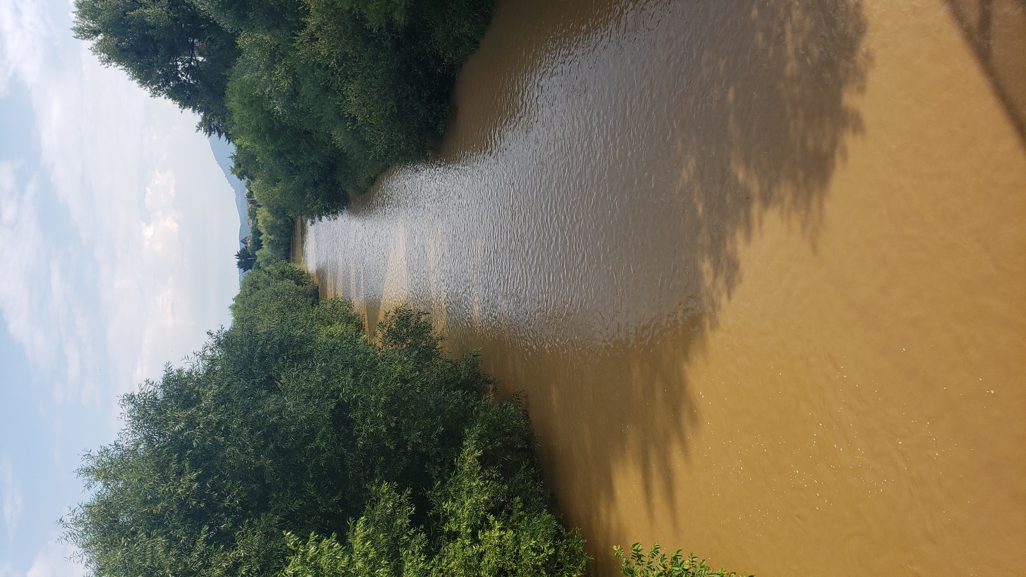 The image shows a wide, muddy river flowing through a lush green forested area. The water has a distinct brown, murky color, indicating it is likely carrying sediment. Dense trees with full green foliage line both banks of the river, creating a natural corridor. The trees are tall and appear to be a mix of deciduous species. In the distance, rolling hills and mountains are visible under a partly cloudy sky. The sun is casting shadows from the trees onto the water's surface. The scene appears to be a natural landscape, possibly in a park or rural area. The location is identified as Prešov, Slovakia. There are no people or man-made structures clearly visible in the immediate vicinity of the river, suggesting a relatively undeveloped or natural setting.