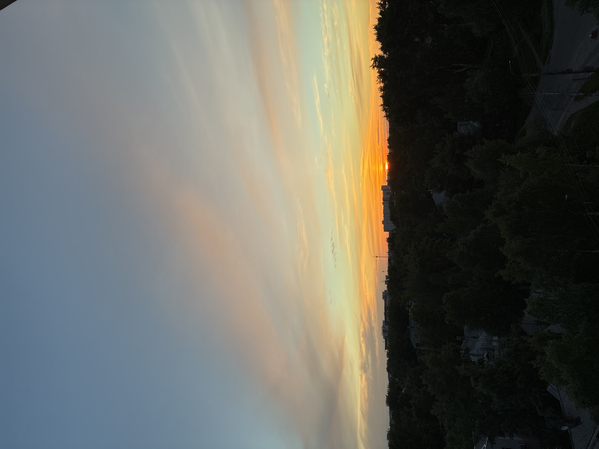 A wide-angle shot captures a vibrant sunset over a city. The sky is a gradient of colors, transitioning from a soft blue at the top to shades of pink, orange, and yellow closer to the horizon. Wispy clouds are scattered across the sky, catching the light of the setting sun. Below the sky, a dense canopy of dark green trees dominates the mid-ground, interspersed with glimpses of residential buildings and their roofs. A few taller structures, likely apartment buildings, are visible on the left and right edges of the horizon, with a construction crane also appearing in the distance to the left of center. A street with a few streetlights winds through the lower right portion of the image, disappearing into the shadows of the trees. The overall scene depicts a serene urban landscape bathed in the warm, fading light of dusk.