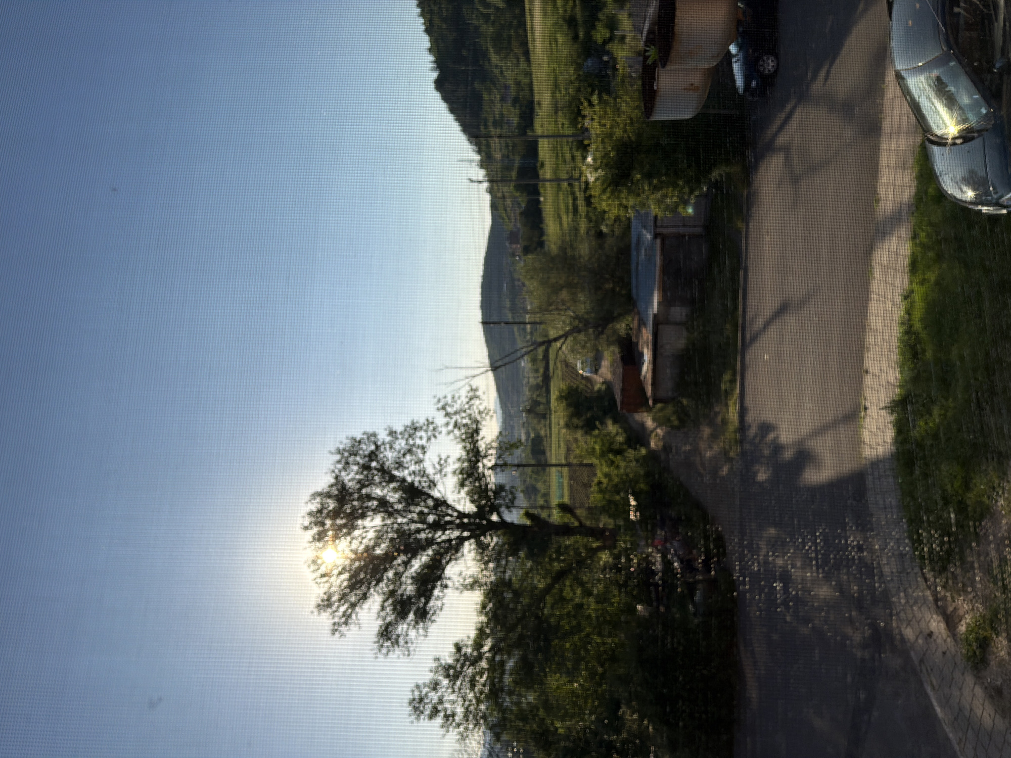 The image shows an outdoor scene viewed through a window screen. The sun is visible through the branches of a tree on the left side of the frame. A road is visible to the right, with parked cars and greenery alongside it. In the background, there is a hill or mountain covered in vegetation. The location is Unknown, Unknown.
