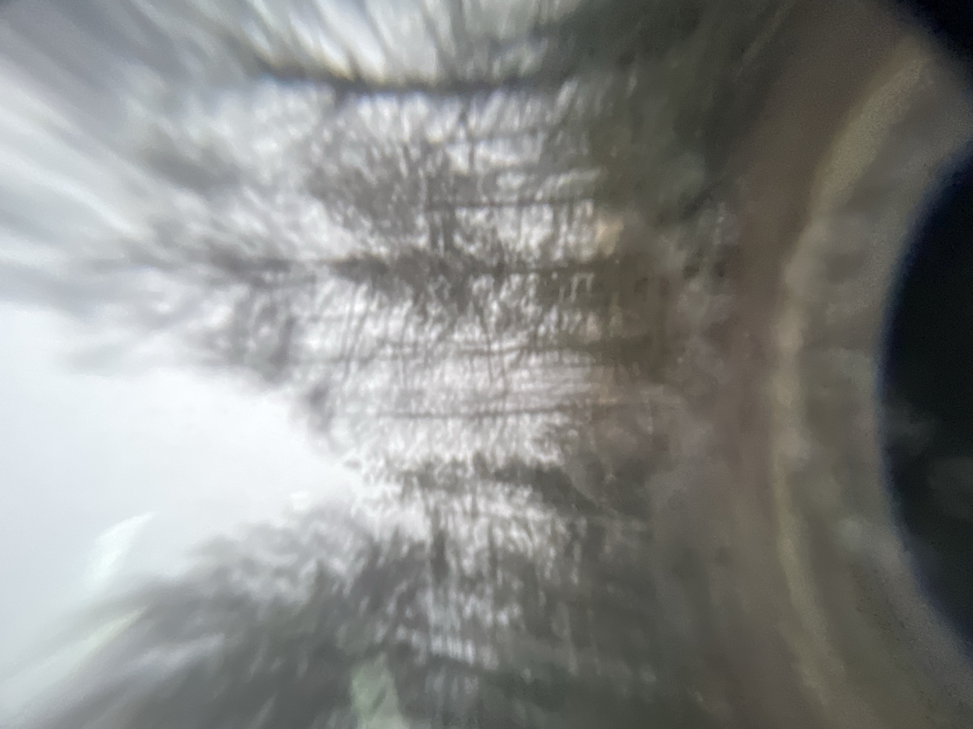 The image is blurry, showing a view through a lens, possibly a camera or optical instrument. The scene is dominated by grayish-white tones with some darker areas. The central area seems to contain multiple indistinct vertical lines, potentially representing trees or other similar objects. The right side features a curved dark area, suggesting part of the instrument's housing or structure. The overall image quality is poor, hindering precise identification of details. The location being Kukui, Russia is not discernible from the image content.