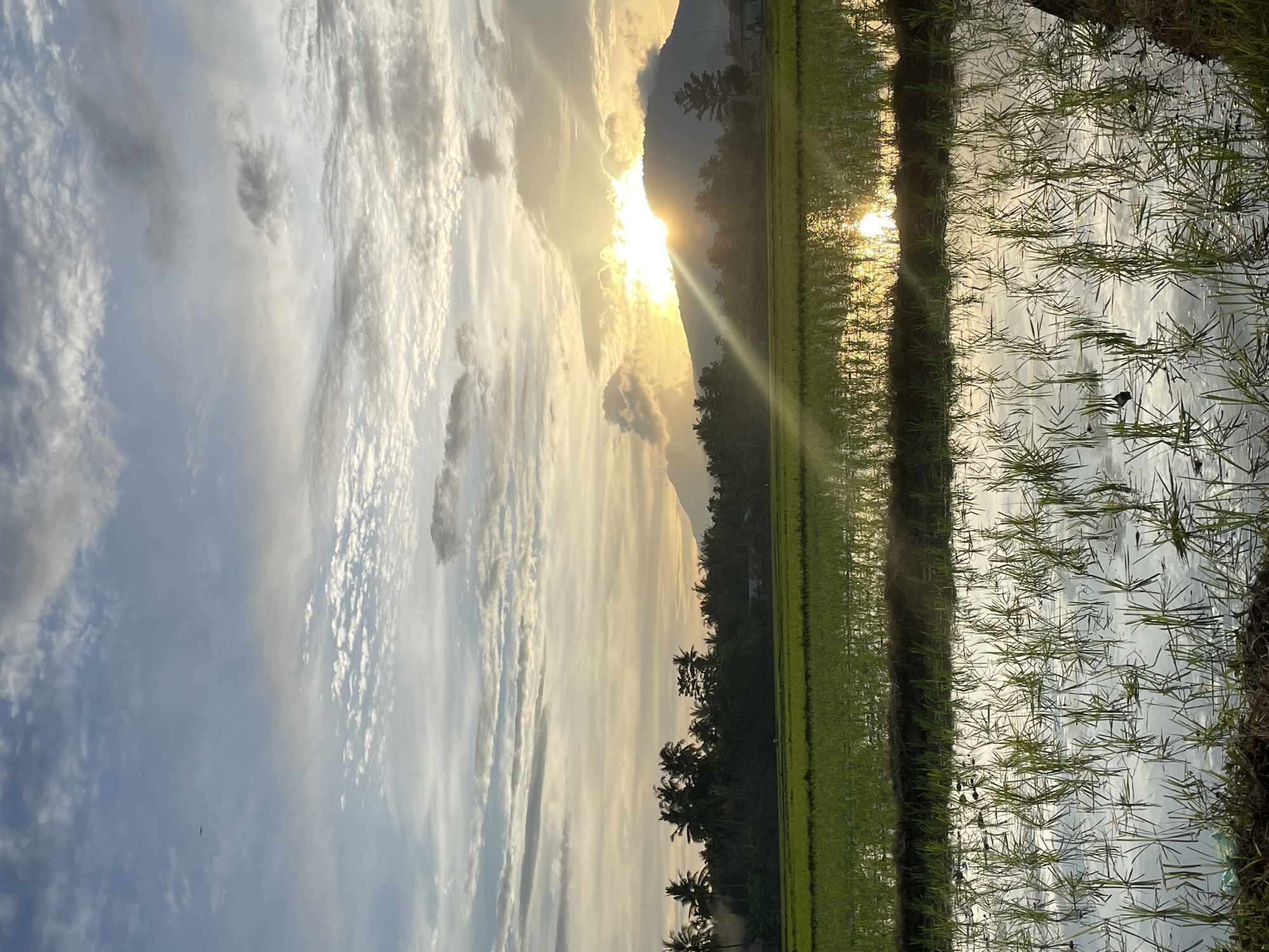 This is a photograph of a rice paddy field at sunrise, with a mountain range in the background. The sun is rising behind the mountains, casting a warm glow over the scene. The rice paddy is filled with water, reflecting the sky and the mountains. In the foreground, there are rows of young rice plants. The sky is filled with clouds, which are illuminated by the rising sun. The location is identified as Khang Tanjong, Indonesia. There are no people or animals visible in the image. The scene is peaceful and serene, capturing the beauty of a rural landscape at dawn.
