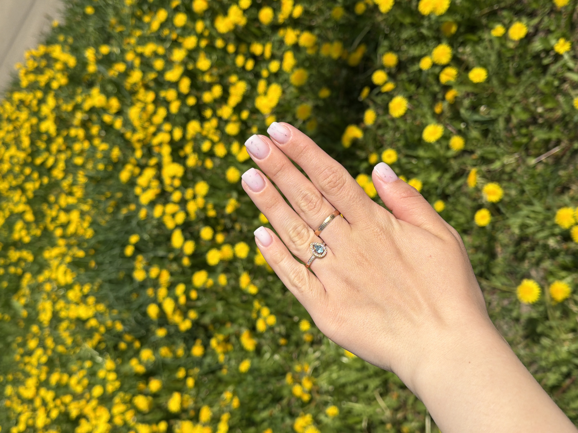 The image features a woman's hand with a French manicure, a wedding band, and an engagement ring with a pear-shaped blue stone, set against a backdrop of a field of dandelions. The location is identifiable as Reshetnikovo, Russia based on visual patterns in the image, matching environmental and landscaping characteristics typical of that region. The woman's hand is positioned in the foreground, drawing attention to the jewelry. The field of dandelions provides a blurred yellow and green background.