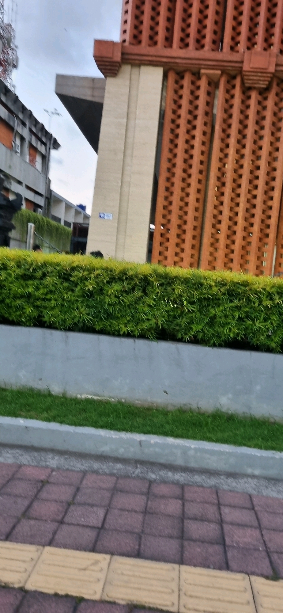 This image captures a street-level view in Denpasar, Indonesia. In the foreground, a sidewalk paved with reddish-brown square tiles is visible, with a row of yellow tactile paving blocks running along its edge. Adjacent to the sidewalk is a strip of green grass, bordered by a light grey concrete planter box. Behind the planter box, a meticulously trimmed green hedge forms a dense barrier.
Further back, a light grey concrete wall runs along the base of the hedge. Above the hedge and wall, elements of the urban environment are visible. A modern building with a beige facade and a distinctive architectural feature made of reddish-brown brickwork with open, patterned sections dominates the upper right portion of the frame. To the left, another building with a grey exterior and visible windows, possibly part of an older structure, is present. A large, angled, dark grey concrete overhang extends from one of the buildings. The sky above is overcast with a few faint specks that could be birds. There are no clear individuals or specific actions depicted in the scene. The overall impression is of a well-maintained urban space with a mix of modern and potentially older architectural styles.