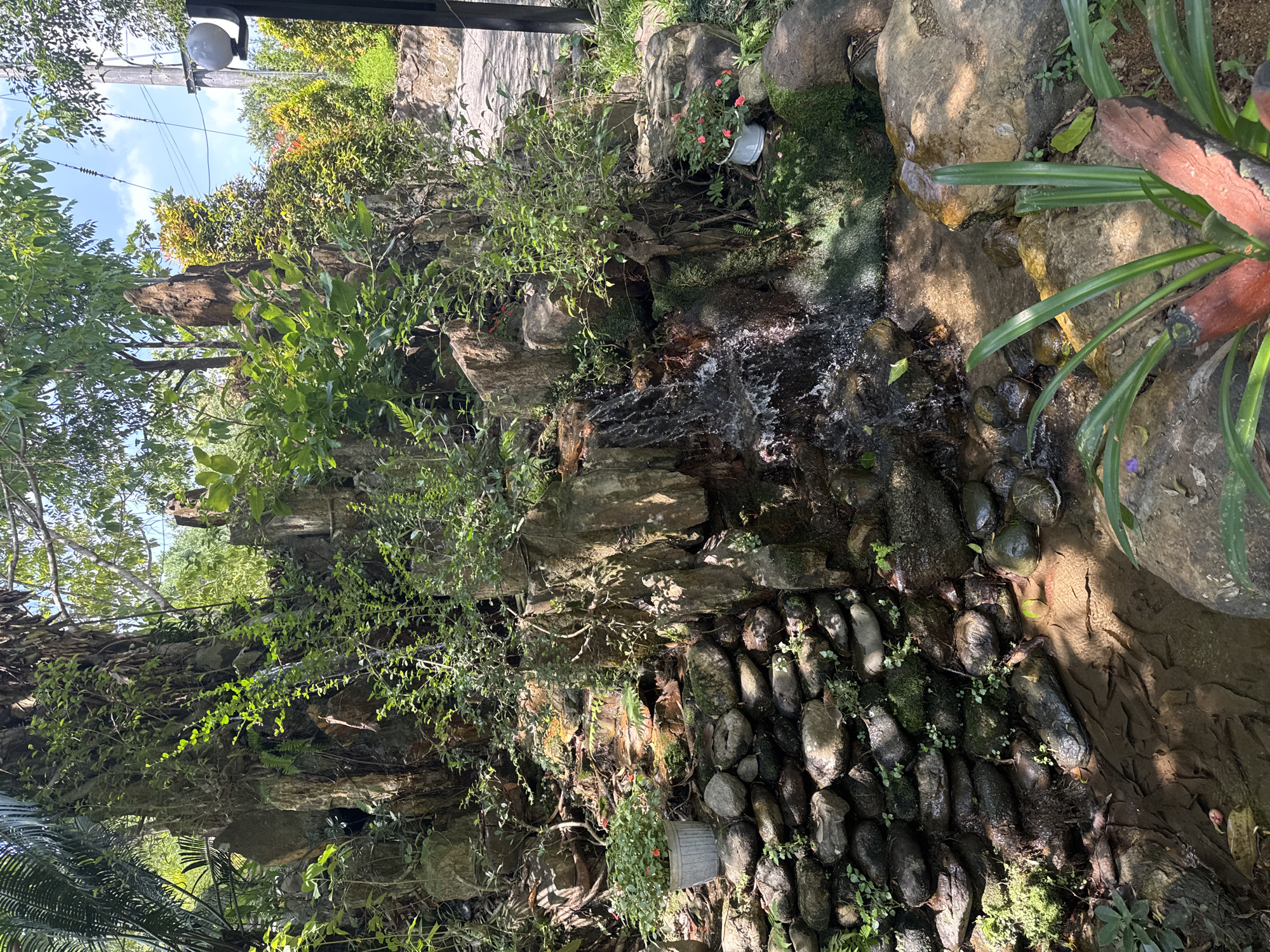 The image depicts a small, artificial waterfall feature in a garden setting. The waterfall cascades over rocks and stones of varying sizes. Lush green vegetation, including various plants and moss, covers the rocks surrounding the water feature. A white metal pot containing flowering plants sits on the rocks near the top of the waterfall. A pedestrian walkway is visible in the background, and there are street lights and power lines at the very top of the image. Based on visual clues and the prompt, the location is Đà Nẵng, Vietnam. There are no people visible in the image.