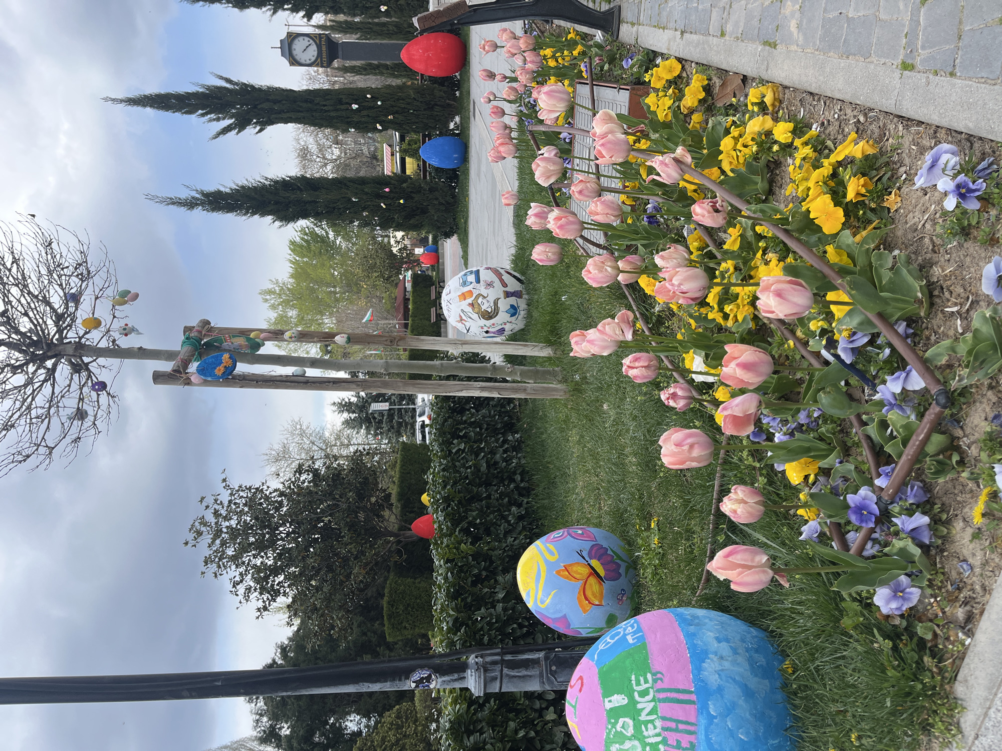 The image captures a vibrant park scene in Asenovgrad, Bulgaria. The foreground features a flower bed with blooming pink tulips, yellow pansies, and purple violets. Painted Easter eggs of various sizes and designs are scattered throughout the grass. In the background, a clock tower is visible among tall, thin trees. Other trees, hedges, and parked cars can be seen in the distance. Decorations and flags hang from wooden structures. The sky is overcast with patches of blue.