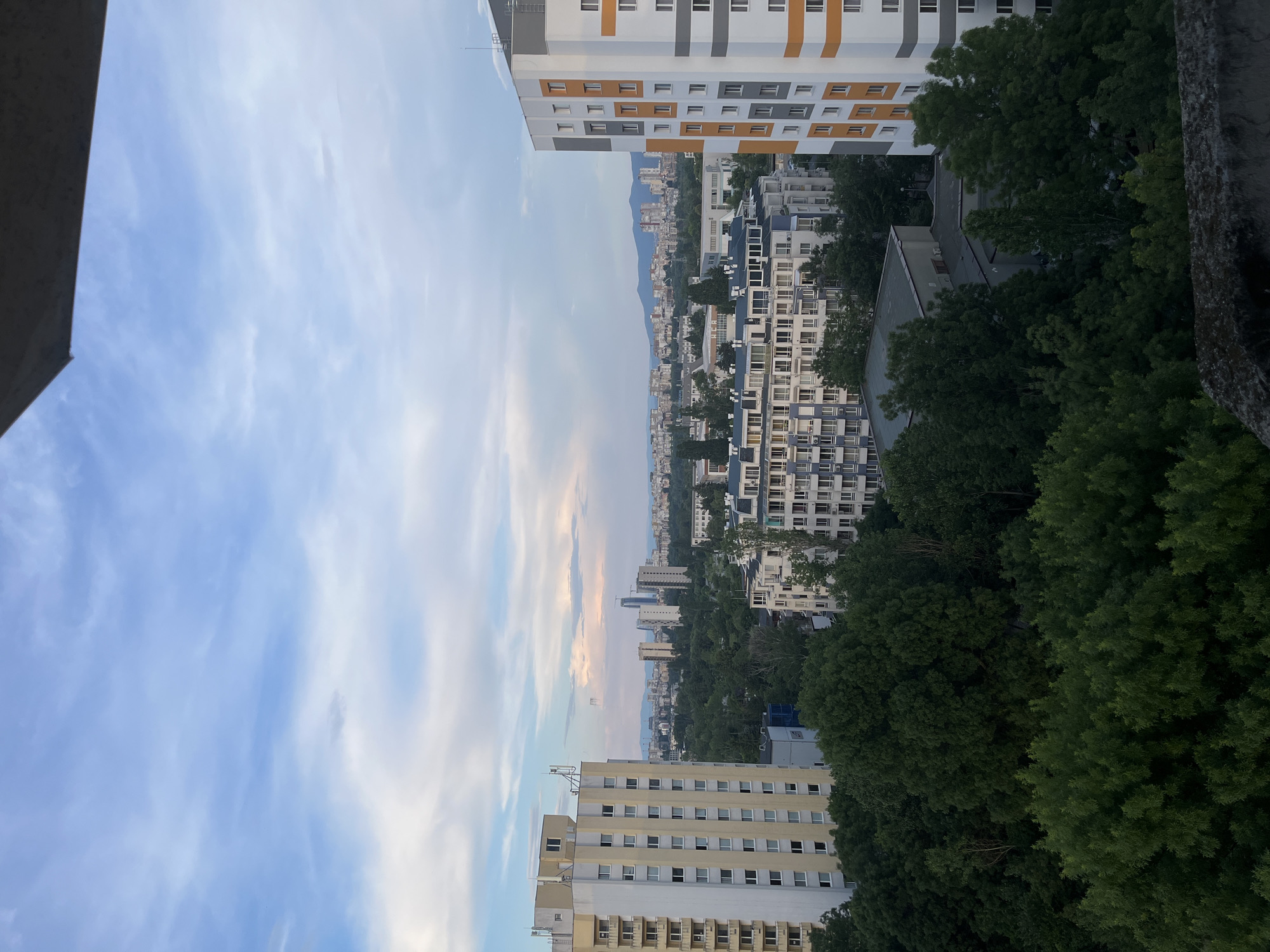 A high-angle, medium shot captures a sprawling cityscape under a hazy, pale blue sky dotted with wispy clouds. In the foreground, the top edge of a rough, grey concrete structure is visible. Dense, dark green foliage dominates the lower half of the frame, interspersed with the grey roofs of buildings.
Rising from behind the trees are several multi-story residential buildings. The most prominent on the left is a tall, cream-colored building with numerous square windows and visible antennas on its roof. To its right and further into the mid-ground, a long, light-colored building with a pattern of blue and white on its facade is visible. Further right, a modern, white building with orange and grey stripes is prominently featured.
In the background, a vast urban expanse stretches out, characterized by a multitude of buildings of varying heights and architectural styles. The distant horizon is marked by the soft silhouette of mountains under the pale sky. The overall impression is one of a densely populated urban environment partially covered by lush greenery, viewed during daylight, likely in the late afternoon or early evening. No people are visible in the scene.