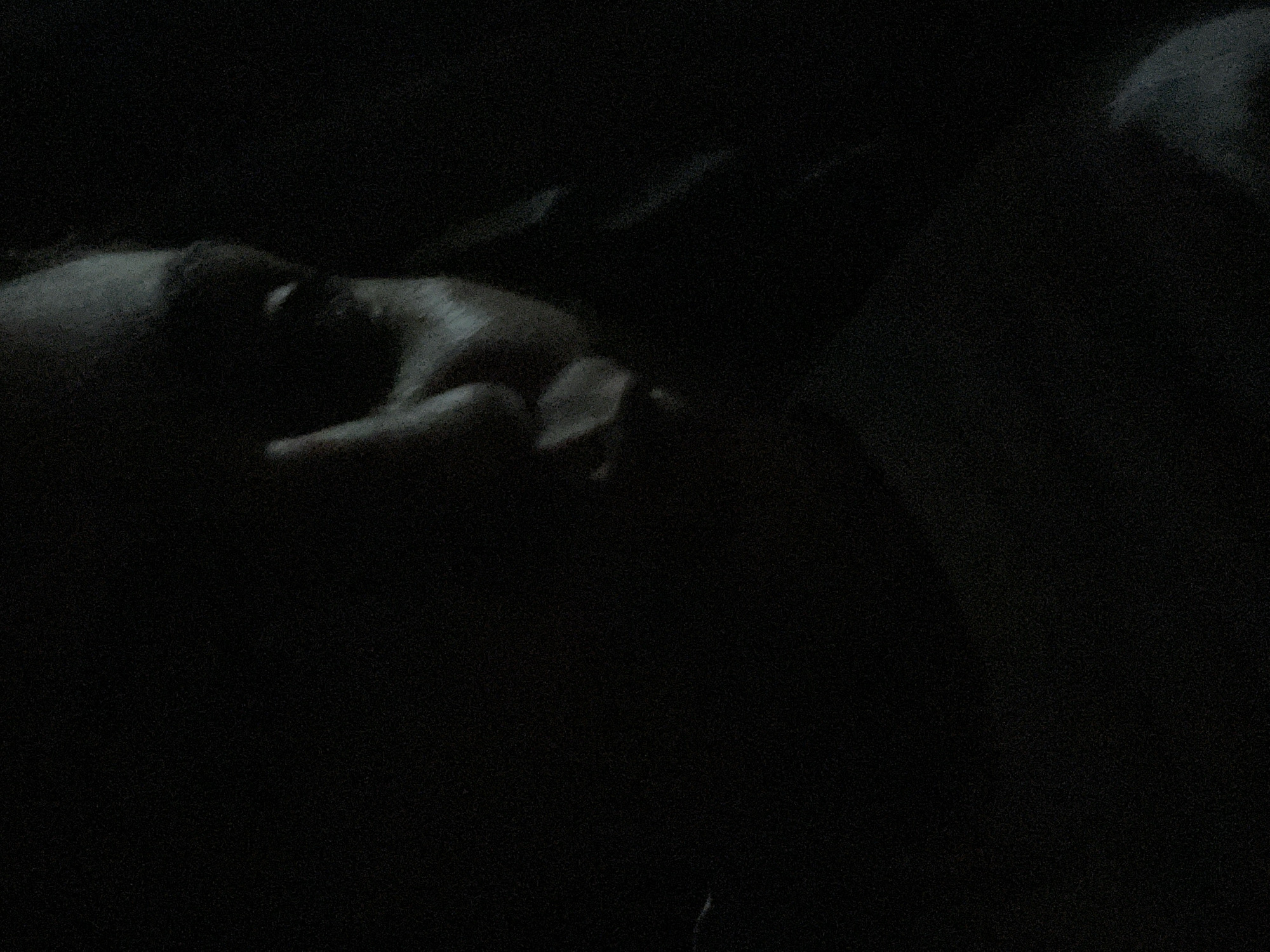 The image shows a dimly lit, close-up view of a person's face. The lighting is poor, making it difficult to discern details. The person's eyes are closed. The background is dark and indistinct. There is no information in the image to suggest its location or any specific actions taking place. There is no evidence of it being in Debelt, Bulgaria.