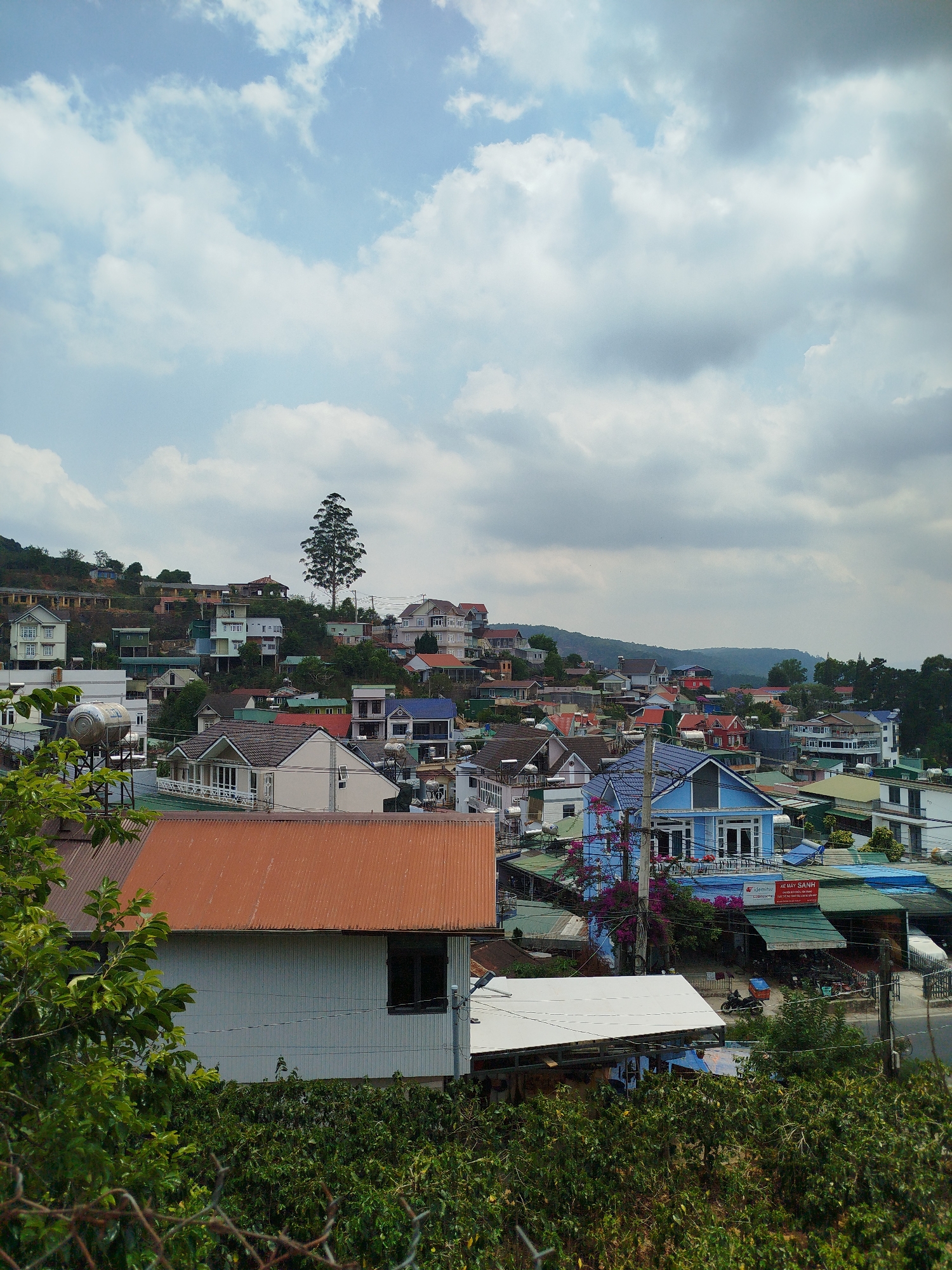 The image shows a densely populated hillside in Phát Chi, Vietnam. The foreground is dominated by green foliage, partially obscured by a chain-link fence. Behind this is a mix of single-story and multi-story buildings with a variety of roof colors, including rust, white, and blue. Some buildings have visible windows, while others are partly obscured by vegetation. In the mid-ground, there are more houses and structures, interspersed with trees, climbing up the hillside. On the higher part of the hillside is a tall, thin tree standing out against the backdrop of other buildings. The sky is partly cloudy, with a mix of light blue and gray clouds overhead. Overall, the scene depicts a typical urban landscape in a hilly terrain in Phát Chi.