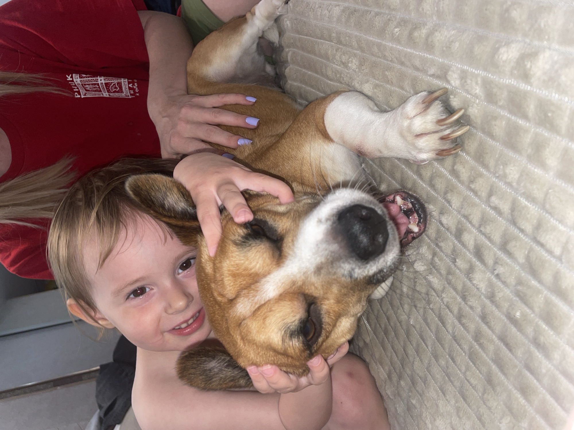 A young child is hugging a tan and white dog on a light-colored textured surface, possibly a couch. The child has light brown hair, brown eyes, and is smiling. The dog is lying on its back with its mouth open and its tongue visible. A woman's hands with light purple nail polish are visible, possibly holding or supporting the dog. The woman is wearing a red shirt. The background is slightly blurred. There is no visible location information indicating it is in Vladivostok, Russia.
