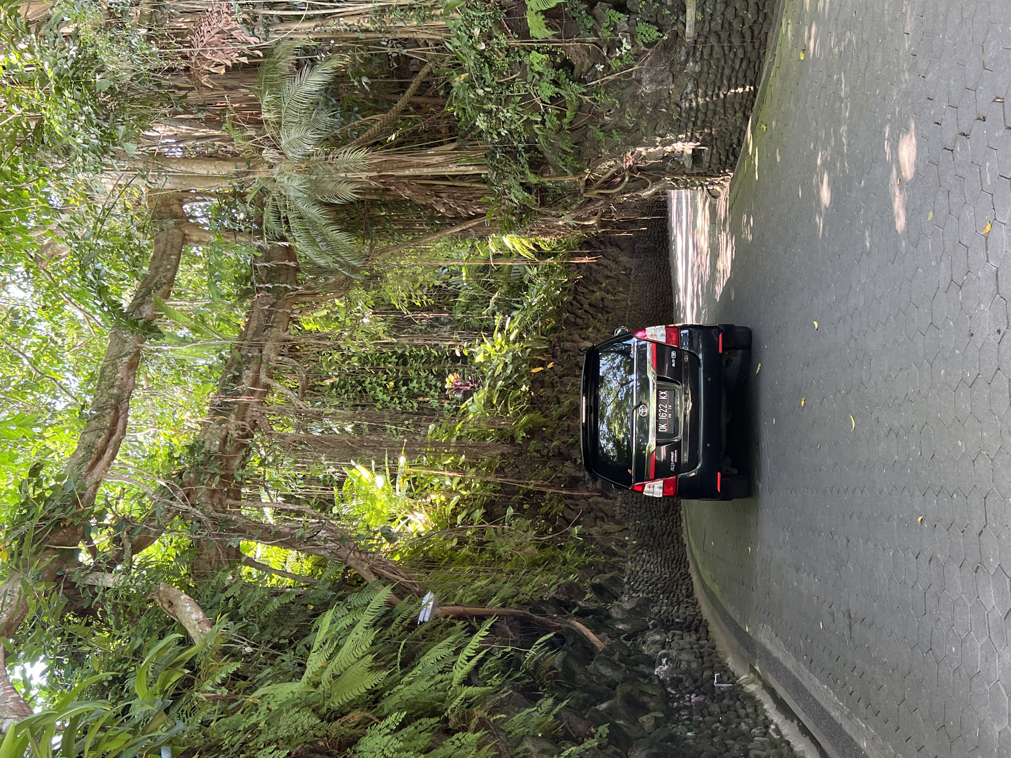 A black car is parked on a curved road in Kedewatan, Indonesia. Lush greenery surrounds the road, with trees and ferns growing along the sides and overhead. The road surface is paved with grey, hexagonal blocks. A stone wall borders the road on one side. The car's license plate is visible, reading "DK 1622 KX".