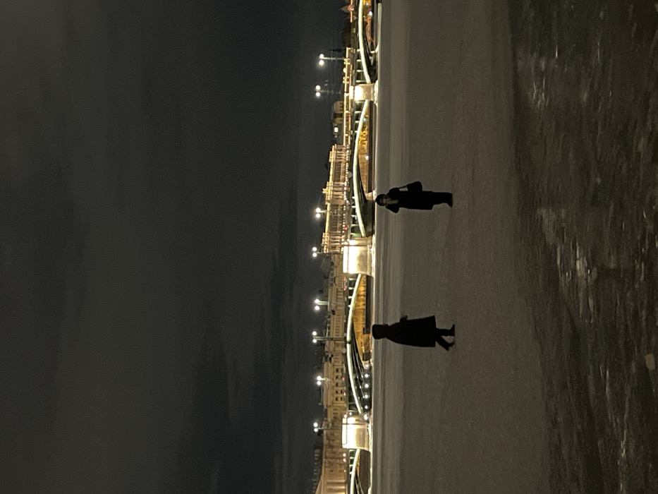 Two silhouetted figures walk along a snowy embankment at night. A bridge or building with numerous lights lines the edge. The sky is dark, and the ground is covered in snow. The scene is lit by the artificial lights of the city, casting shadows from the figures. The embankment appears to stretch into the distance.