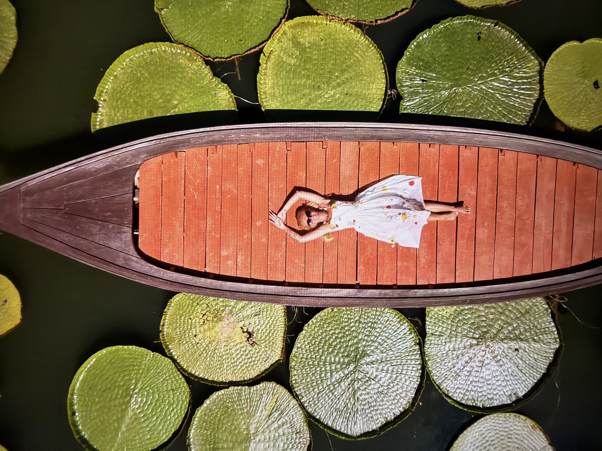 A high-angle overhead photograph captures a serene scene in Hamburg, Germany, featuring a person relaxing in a wooden boat amidst a bed of large water lilies. A woman, wearing a light-colored, patterned dress and sunglasses, lies face-up on the reddish-brown planked floor of the narrow, dark-sided boat. Her arms are bent, resting above her head, suggesting a state of relaxation or sunbathing. The boat is situated on dark water, surrounded by numerous prominent, circular green lily pads, characteristic of species like Victoria amazonica, which display distinct textured surfaces and occasional natural markings. The bright, even lighting and clear shadows under the lily pads and boat indicate a sunny daytime setting. The woman appears relaxed and at ease in this tranquil aquatic environment. No visible text is present.