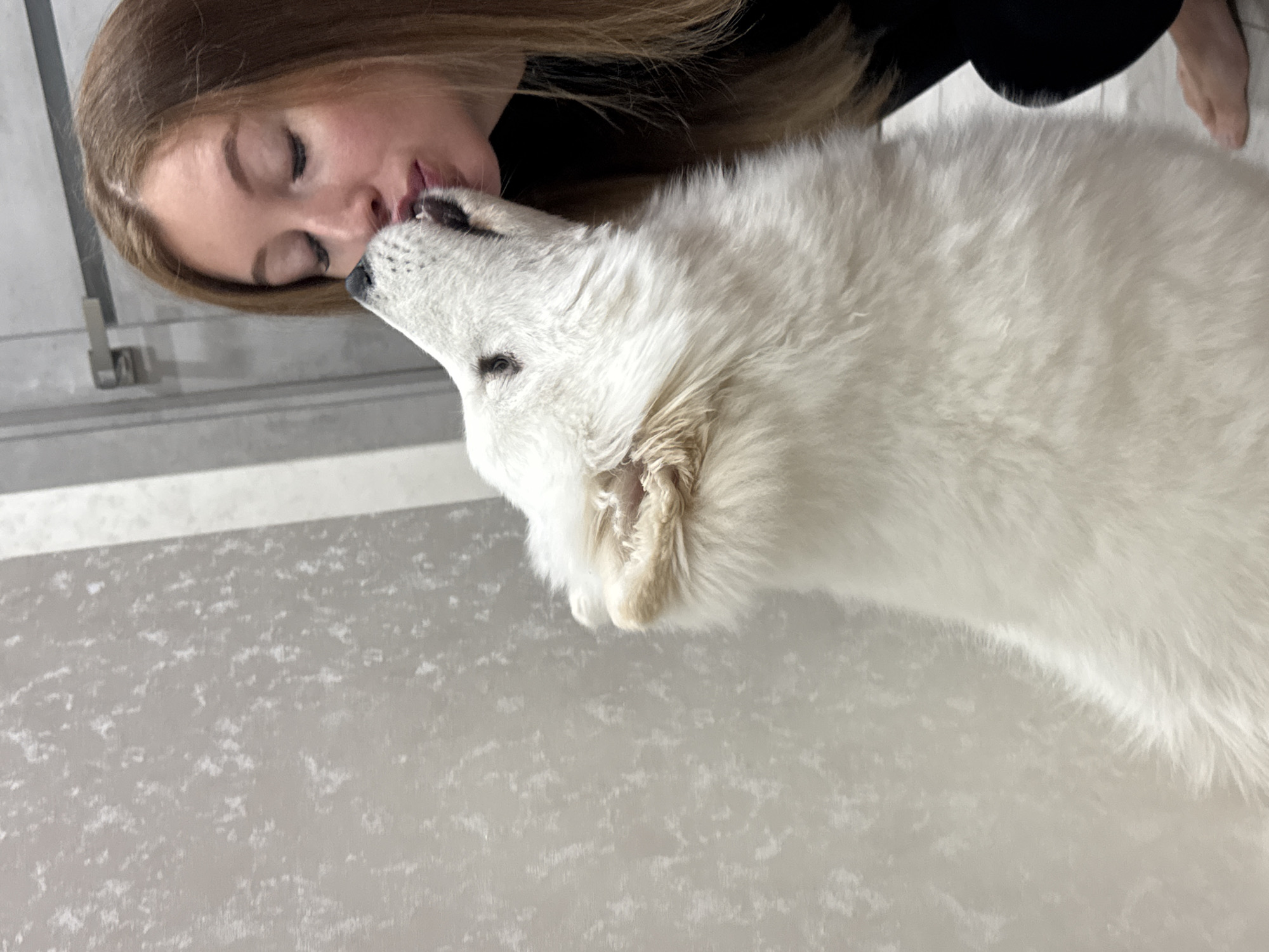 A woman with closed eyes presses her lips against the snout of a white dog. The dog is facing up and to the left. The scene appears to be indoors, with a gray and white patterned surface in the foreground and a window with a metal bar in the background. The woman has long brown hair and is wearing a black top. The location is Chaikovsky, Russia.