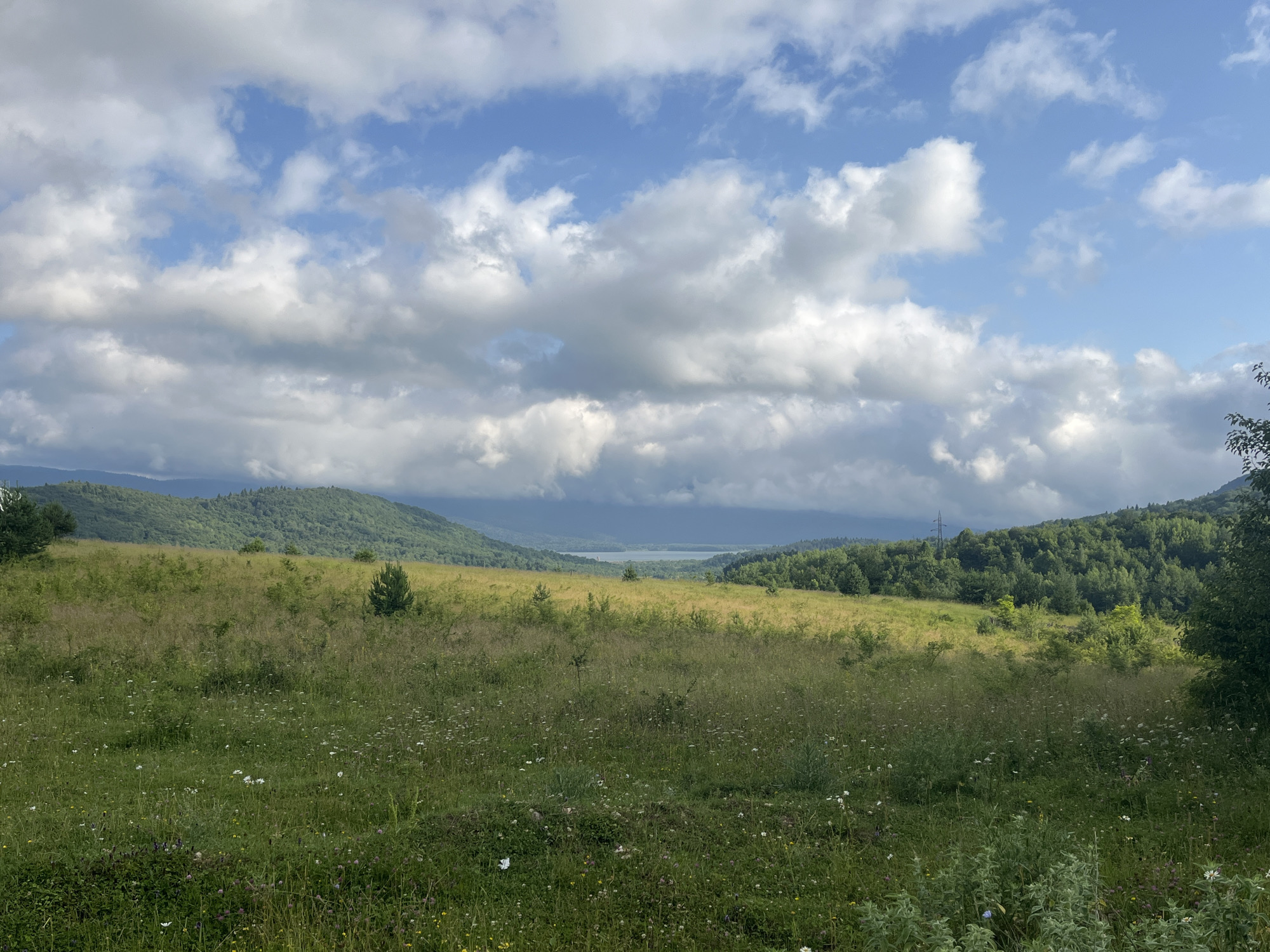 This media file captures a scenic landscape of rolling green hills under a partly cloudy sky. The foreground is a field of tall grass with scattered wildflowers, transitioning to a gently sloping meadow in the midground. In the distance, a body of water, possibly a lake or reservoir, is visible between two tree-covered mountain ranges. The sky is a mix of blue patches and large, fluffy white and grey clouds. The overall impression is one of natural beauty and tranquility. The time of day appears to be daytime, likely late morning or early afternoon, given the brightness and the angle of the light. The weather seems to be mild, with clouds suggesting a possibility of passing showers, but no rain is visible. The location is suggested to be Nikortsminda, Georgia, hinting at a rural, mountainous region. There are no people or specific objects of focus, with the natural landscape being the sole subject. There is also no visible text within the image.