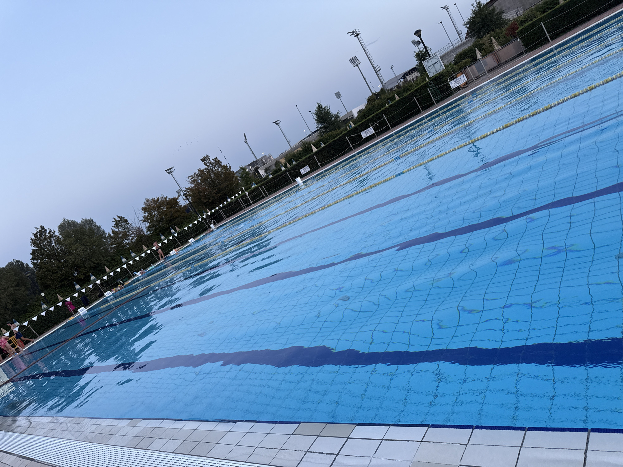 An outdoor swimming pool is pictured from a low angle, with the water filling most of the frame. The pool has multiple lanes marked by dark blue lines and yellow lane ropes. The edge of the pool is visible on the left, with white tiled borders. Along the far side of the pool, a line of trees and hedges is visible, with stadium lights and poles interspersed in the background. A clear, light blue sky dominates the upper right portion of the image. A few people are visible at the edge of the pool, some appearing to be standing near or in the water. The image is oriented diagonally, as if taken from a tilted perspective.