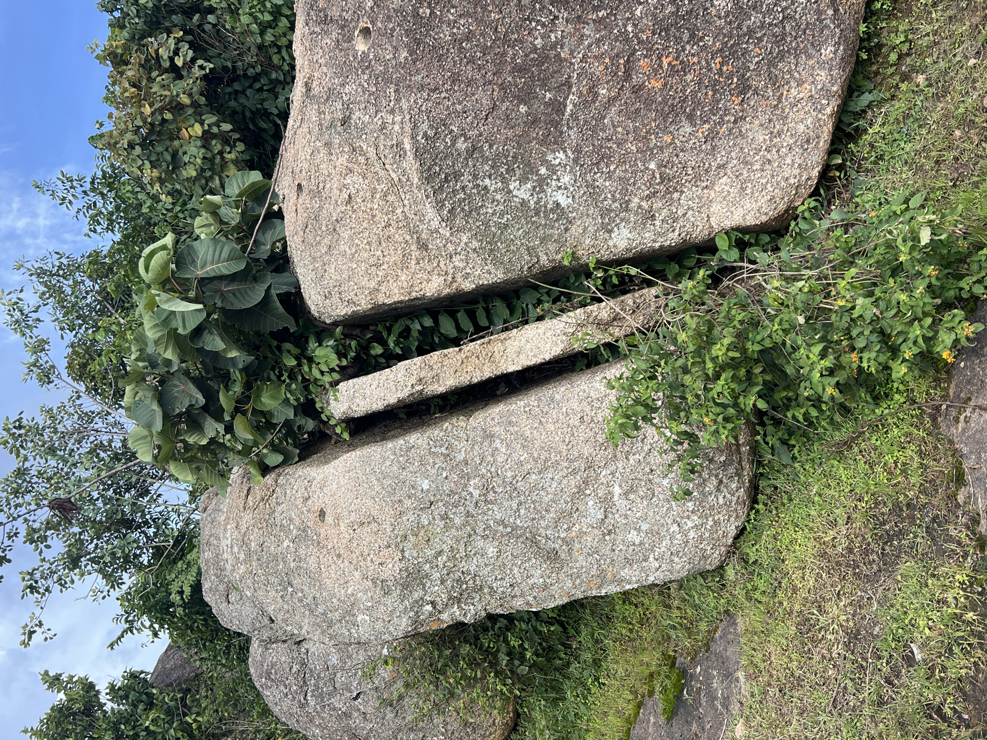 The image depicts a close-up, eye-level view of a rocky outcrop with dense green foliage and a blue sky with scattered clouds in the background. The rocks are large, irregular in shape, and appear to be granite, with a rough, textured surface showing variations in color from light gray to reddish-brown. There is a significant crack or fissure running vertically through the center of the frame, dividing two large rocks. Lush green vegetation, including trees with large leaves and smaller bushes with yellow flowers, grows around and between the rocks. The ground is covered with grass and some patches of bare earth. The scene is likely a natural landscape, possibly a hillside or a rocky park. Without further information, it is not possible to determine the specific location in Jos, Nigeria, or if any people are present.