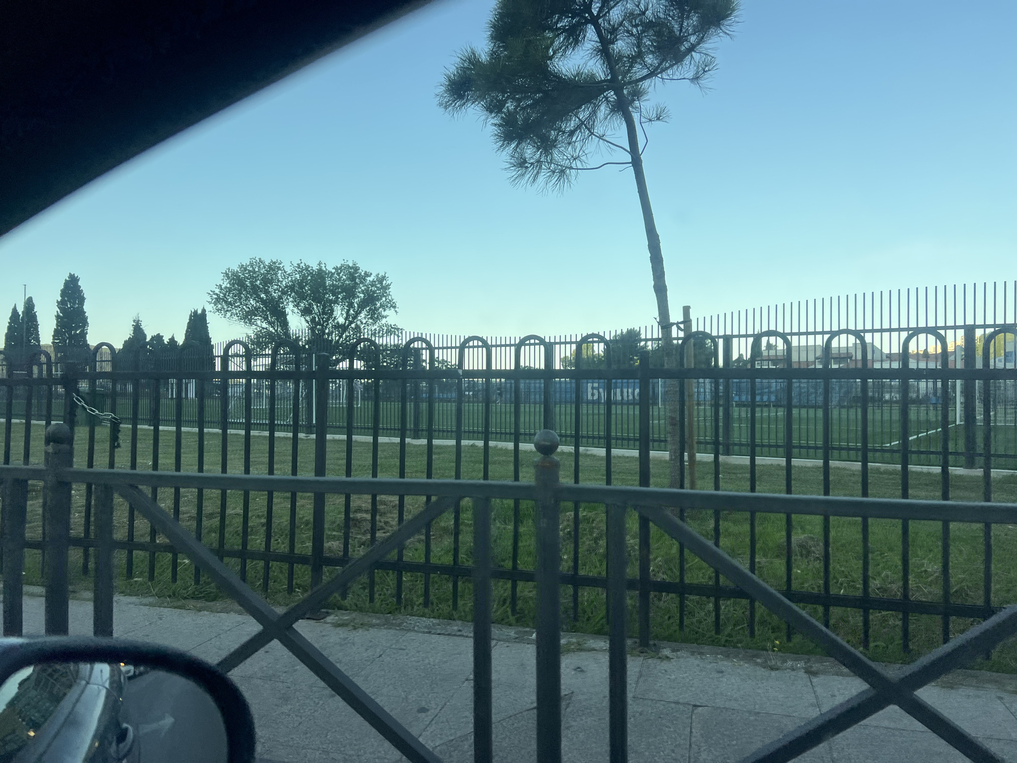 The image depicts a view through a black metal fence towards a green grassy field, with a clear blue sky overhead. The fence is made of vertical bars with arched tops, and a horizontal rail. In the foreground, the edge of a car's side mirror and part of its hood are visible, suggesting the photo was taken from inside a vehicle. Behind the fence, the field appears to be a sports field or park, with some trees and buildings in the distance. A tall, slender tree with needle-like leaves stands on the right side of the frame, its branches extending towards the sky. The scene is set during daylight, possibly early morning or late afternoon, given the soft lighting. The location is identified as Budva, Montenegro, and the visible elements suggest an outdoor public space.