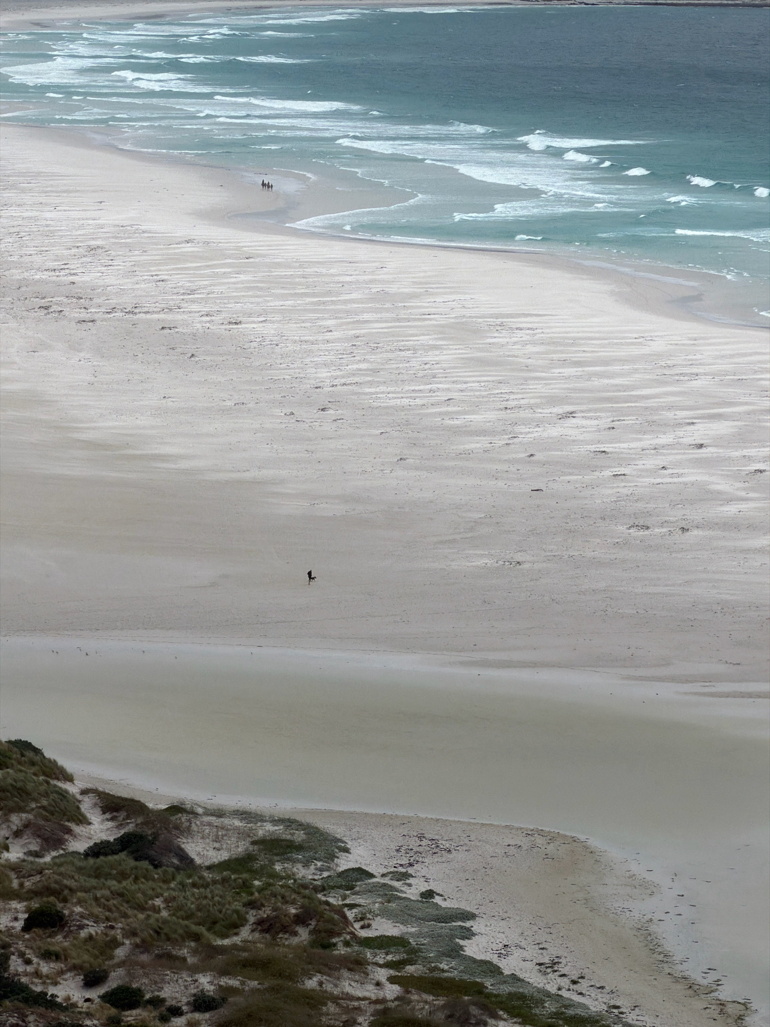 The image shows a wide expanse of a sandy beach at Noordhoek, South Africa. The foreground features rolling sand dunes covered in hardy, green coastal vegetation. The beach itself is a pale, light beige color, with a smooth, undulating surface marked by wind patterns. In the mid-ground, a lone figure, possibly a person with a dog, walks across the vast sandy area. Further towards the water, a small group of three figures are visible near the edge where the waves meet the sand. The ocean dominates the background, with its turquoise water breaking into white waves that stretch towards the horizon. The overall scene conveys a sense of open space, natural beauty, and a tranquil coastal environment.