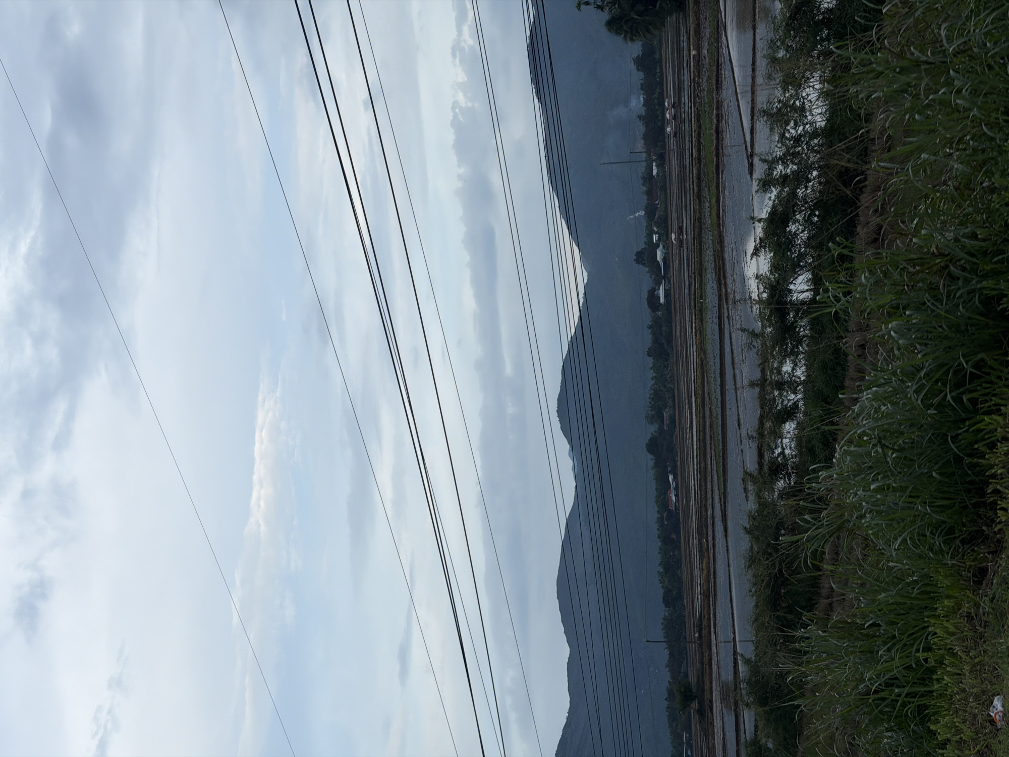 This is a vertical-oriented photograph of a rural landscape in Dien Lac, Vietnam. The scene is dominated by several parallel power lines stretching across the frame from left to right. Beyond the power lines, a range of dark, silhouetted mountains forms the background, their peaks shrouded in a hazy sky.
In the middle ground, the landscape transitions to a waterlogged field, likely rice paddies, reflecting the overcast sky. The rows of the paddies are clearly visible, suggesting they have been recently flooded. Along the edges of the paddies, there are scattered trees and some small buildings, hinting at a nearby village. The foreground on the right side of the image features lush, green vegetation, appearing somewhat wild and overgrown.
The sky is filled with clouds, indicating it is likely daytime, possibly late afternoon or early morning given the muted light and the dark silhouettes of the mountains. The weather appears to be cloudy or overcast, with no direct sunlight visible. There are no people or discernible activities taking place in the frame. The overall mood of the image is serene and natural, with a slight sense of the mundane due to the prominent power lines. No visible text is present in the image.